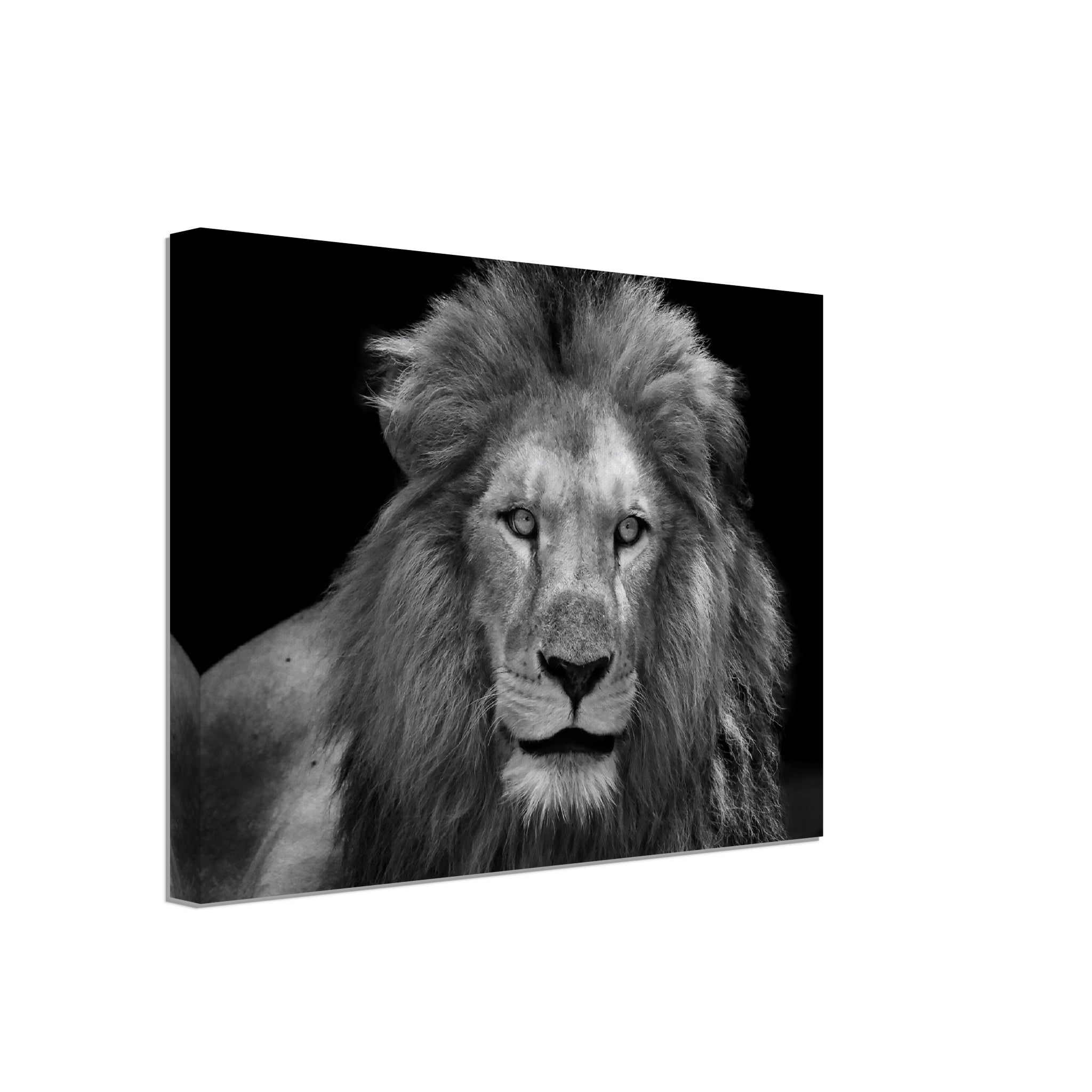 Lion Canvas Black And White Giant Lion Canvas, Epic Lion Wall Art, Various Sizes, Lion Canvas Art - WallArtPrints4U
