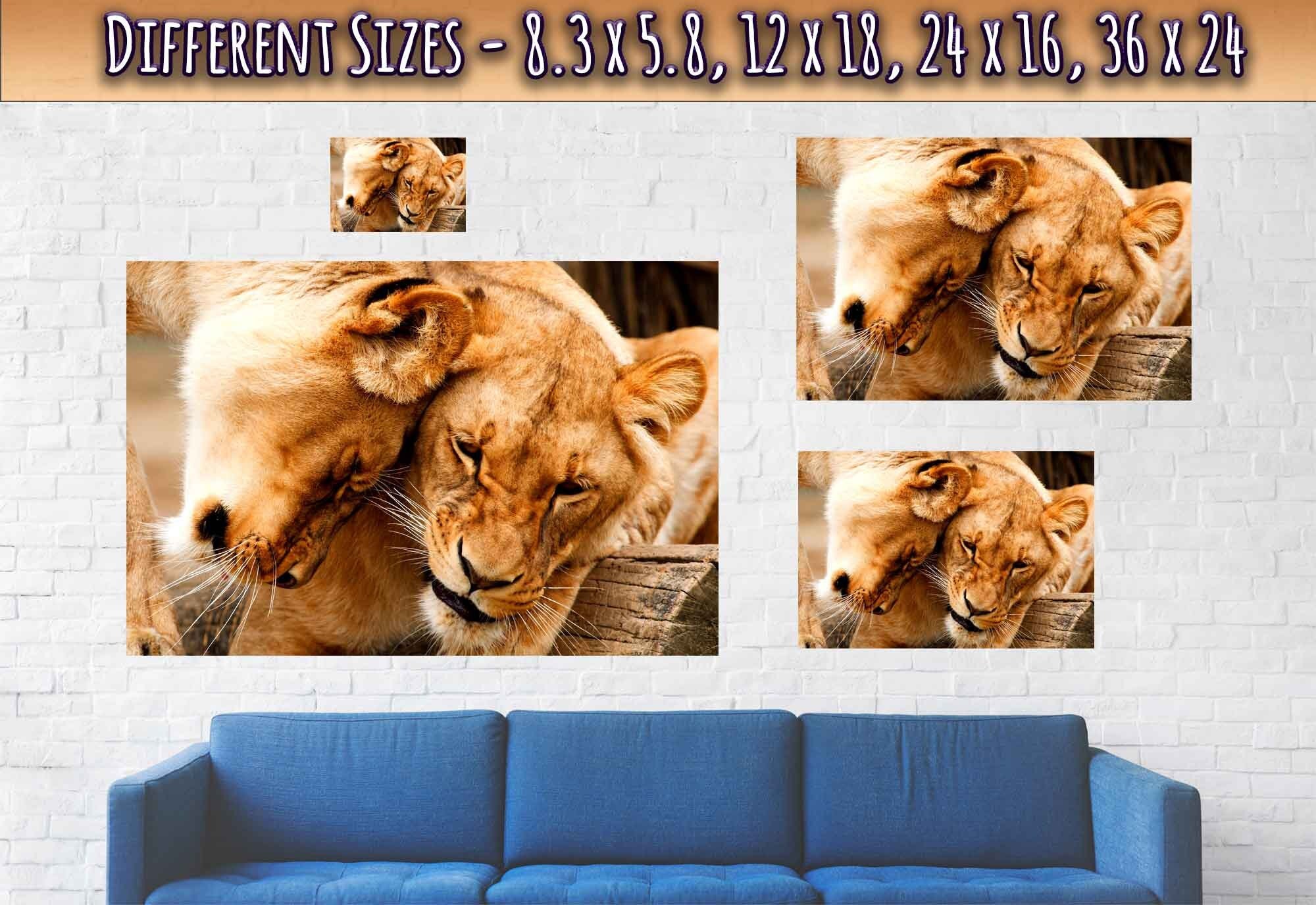 Lioness Poster, Cuddling Lioness Print - Animal Lion Print - WallArtPrints4U