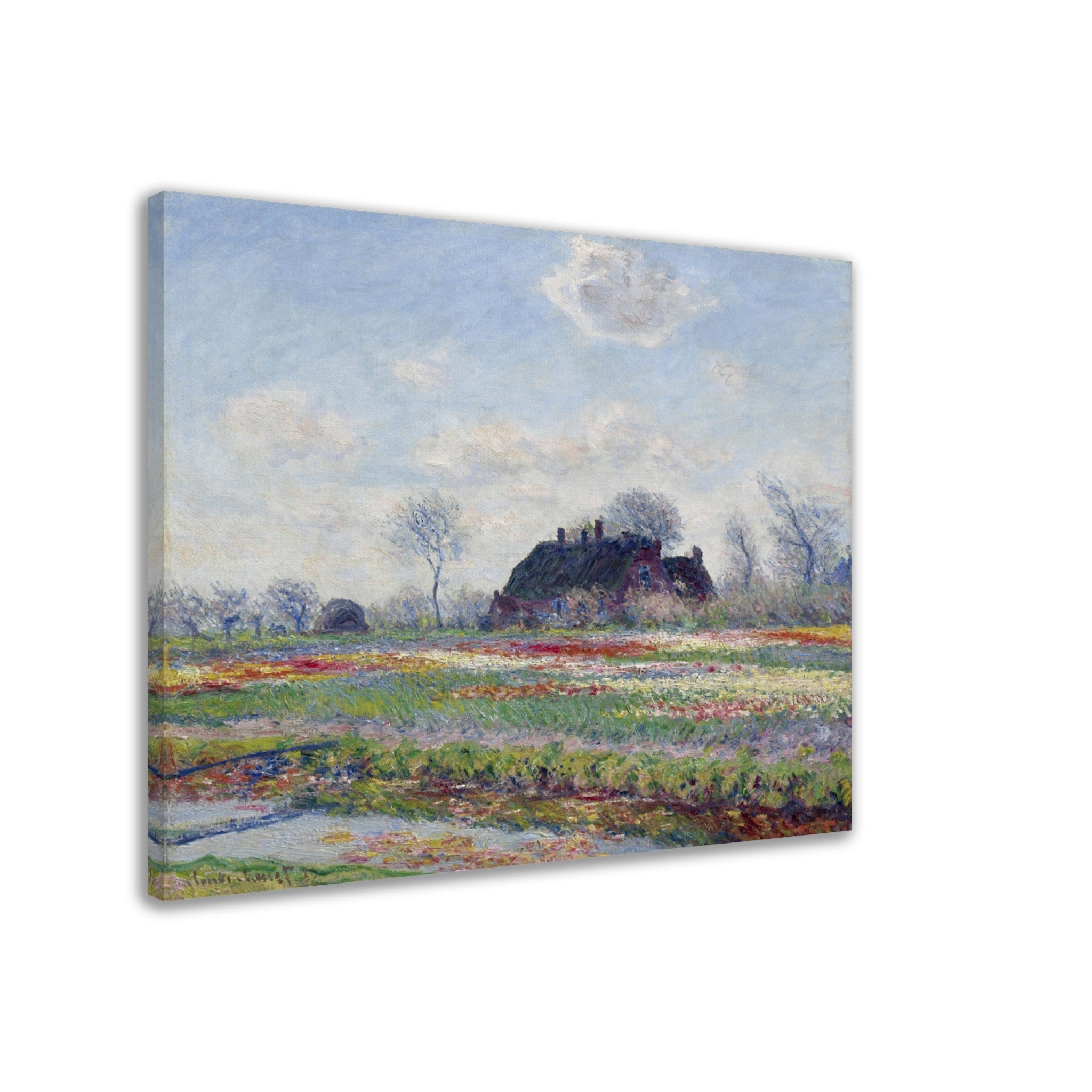 Monet Tulip Fields At Sassenheim Canvas Print 1886 - WallArtPrints4U