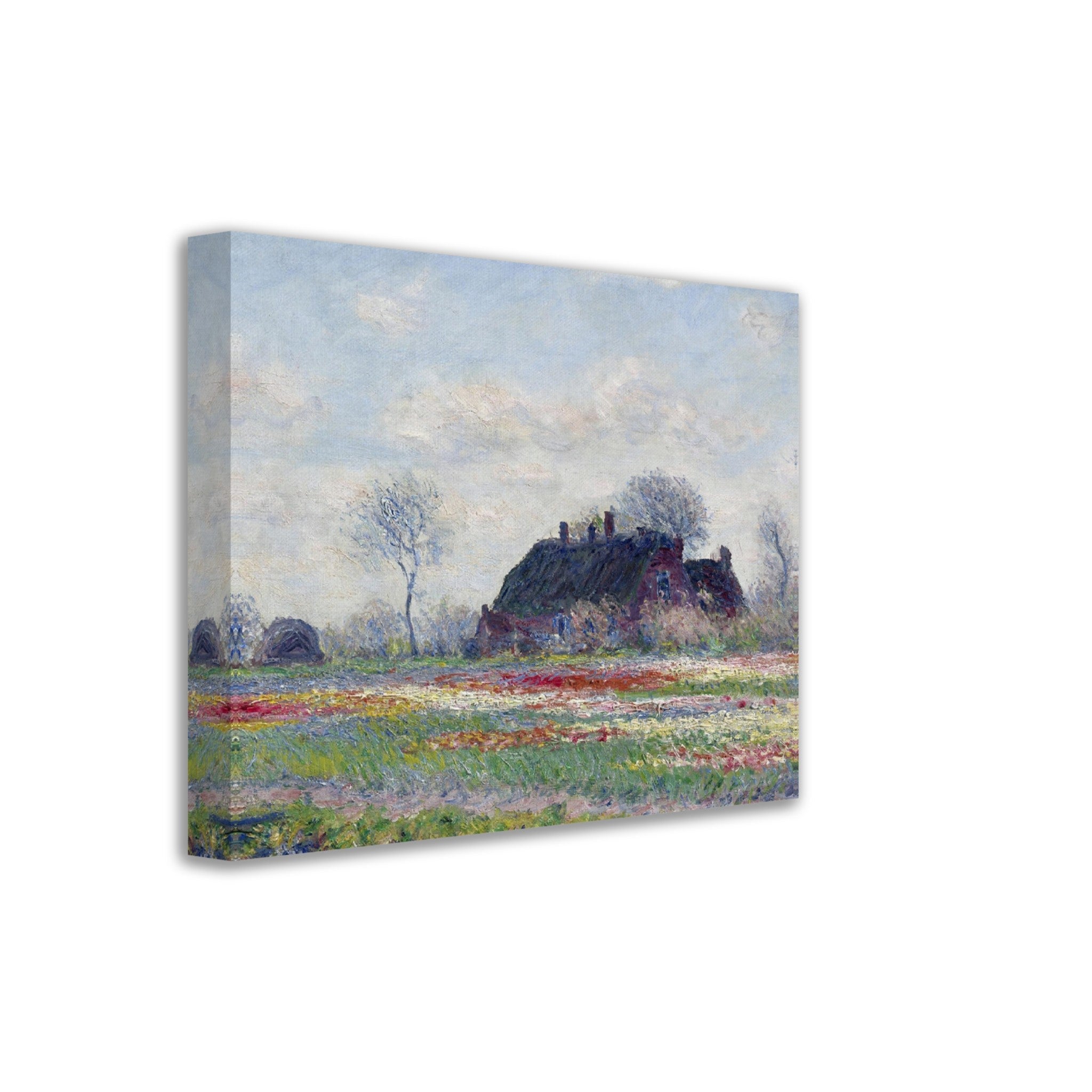 Monet Tulip Fields At Sassenheim Canvas Print 1886 - WallArtPrints4U