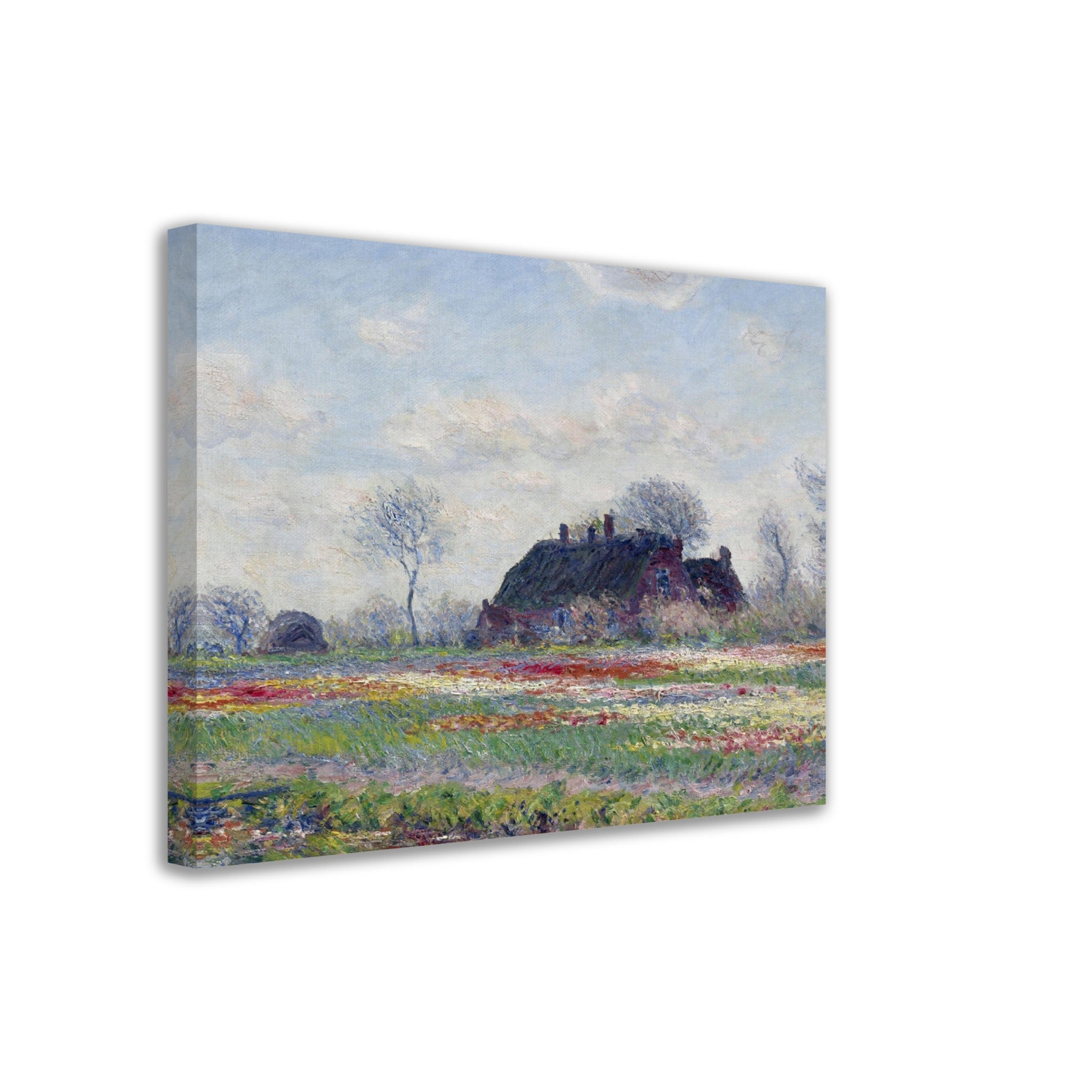 Monet Tulip Fields At Sassenheim Canvas Print 1886 - WallArtPrints4U