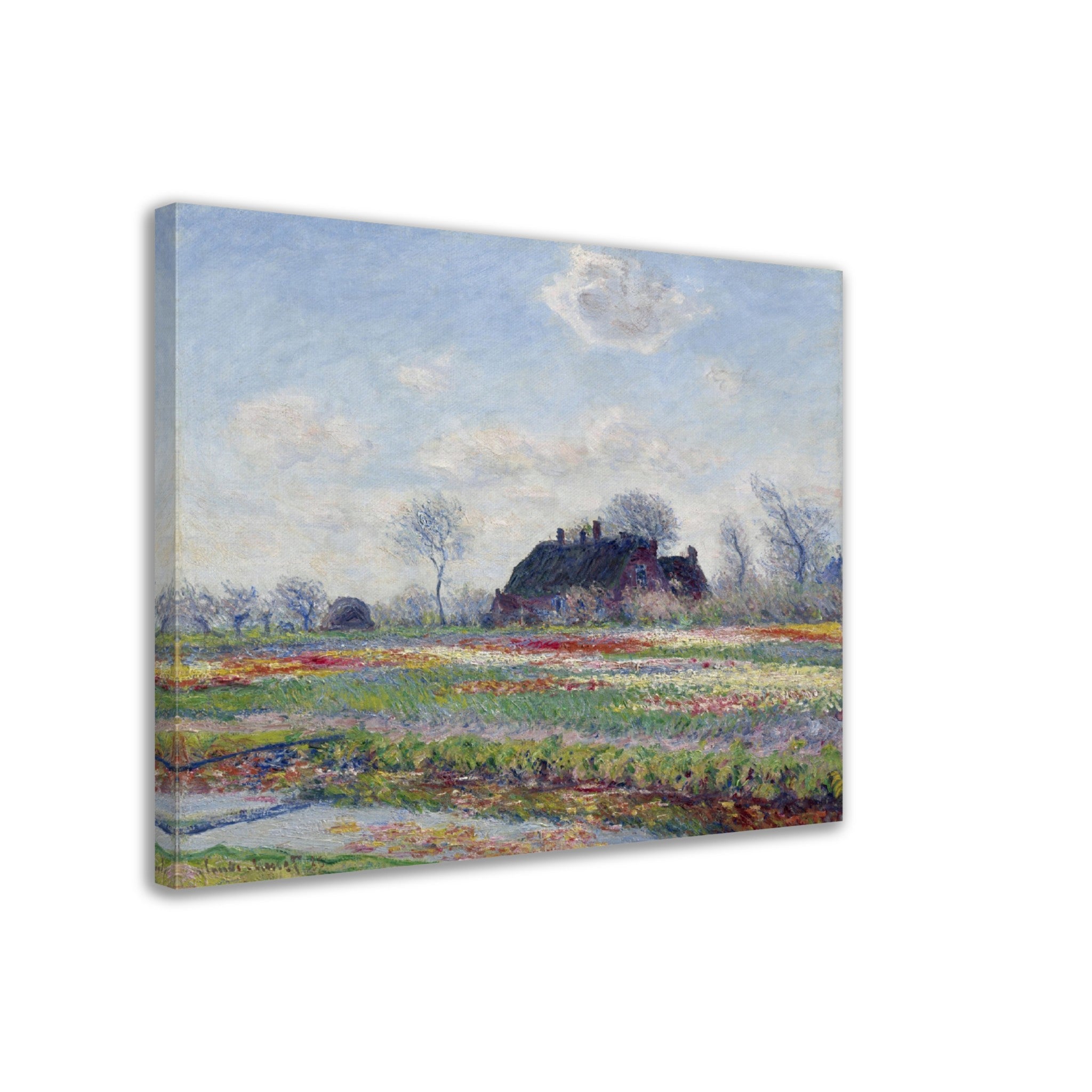 Monet Tulip Fields At Sassenheim Canvas Print 1886 - WallArtPrints4U
