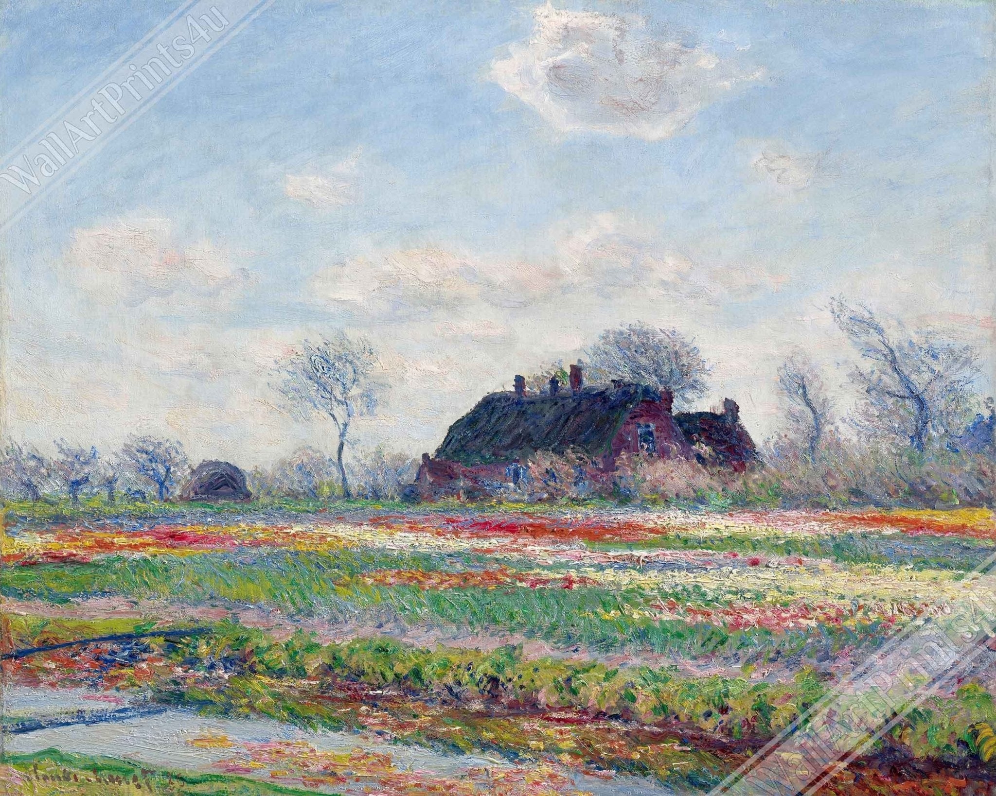 Monet Tulip Fields At Sassenheim Poster Print 1886 - WallArtPrints4U