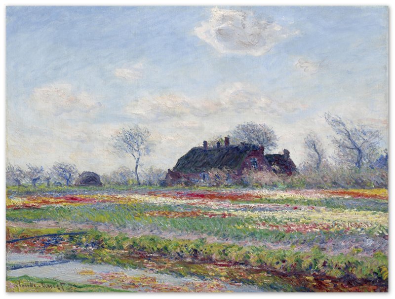 Monet Tulip Fields At Sassenheim Poster Print 1886 - WallArtPrints4U