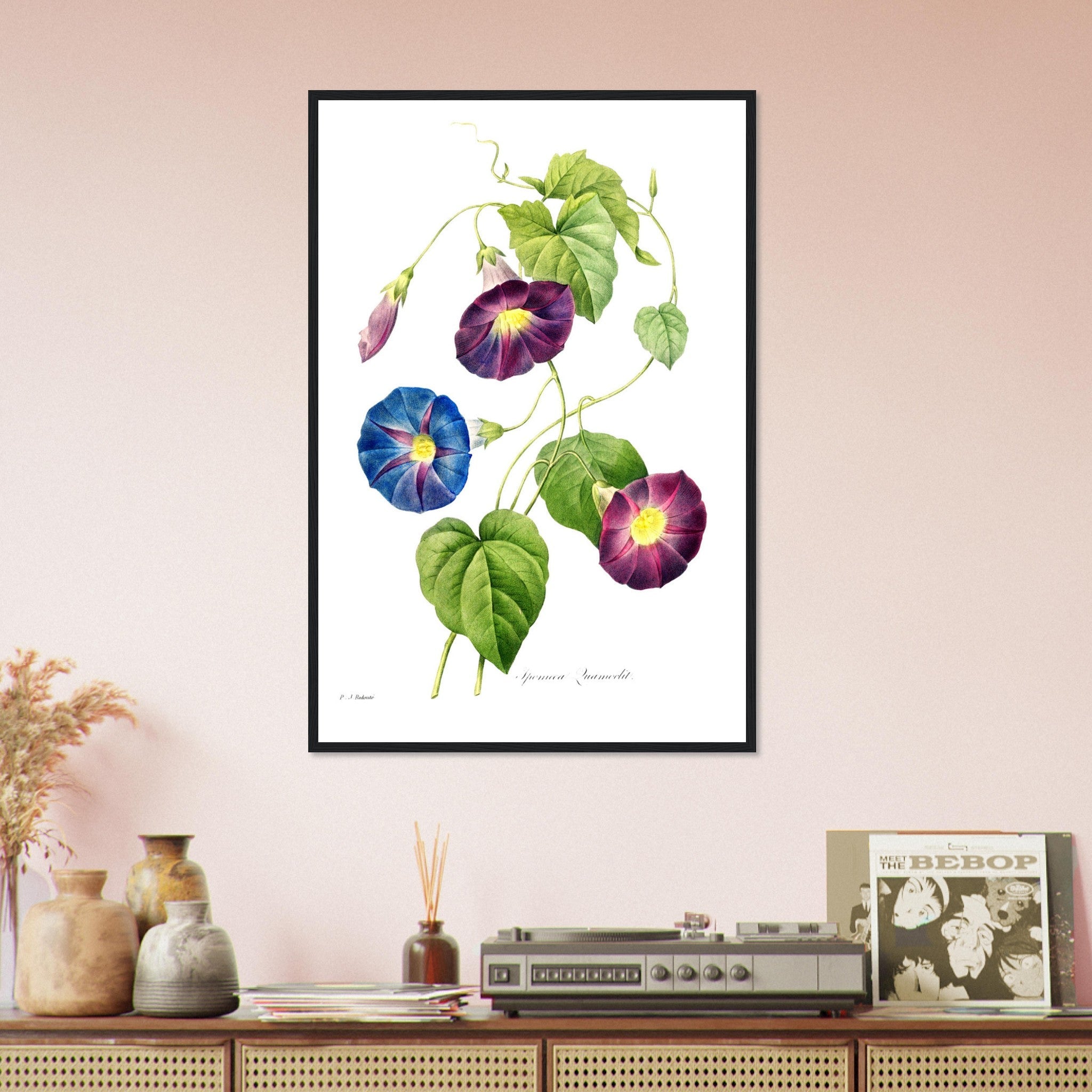 Morning Glory Framed Print - Vintage Flower Wall Art - Pierre Joseph Redoute Botanical Artist - WallArtPrints4U