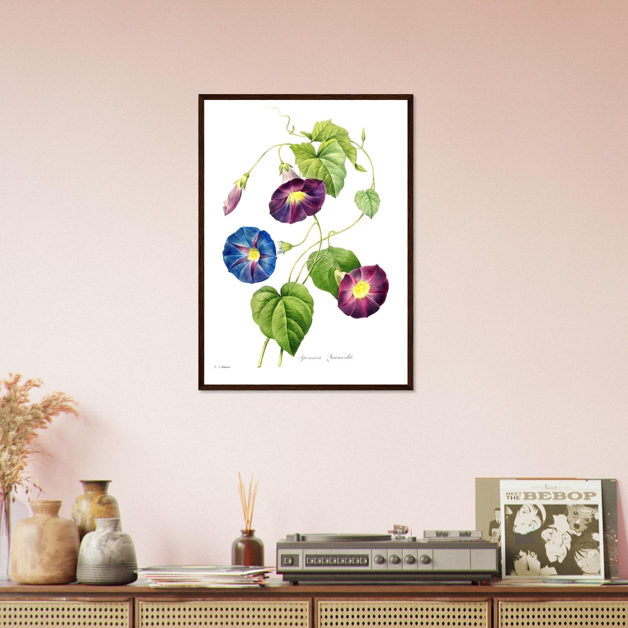 Morning Glory Framed Print - Vintage Flower Wall Art - Pierre Joseph Redoute Botanical Artist - WallArtPrints4U