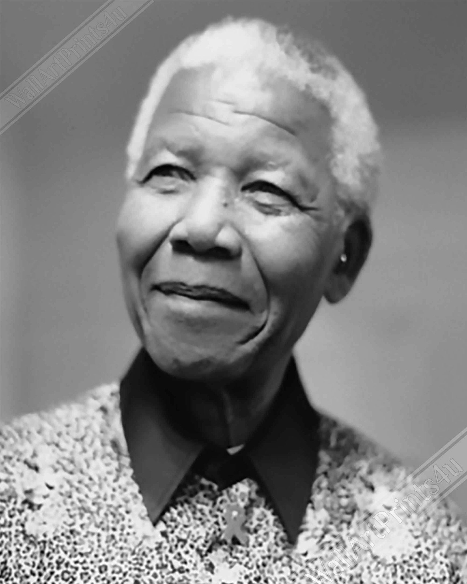 Nelson Mandela Poster, Lifelong Apatheid Opponent, Vintage Photo - Iconic Nelson Mandela Print - Anc Leader - WallArtPrints4U