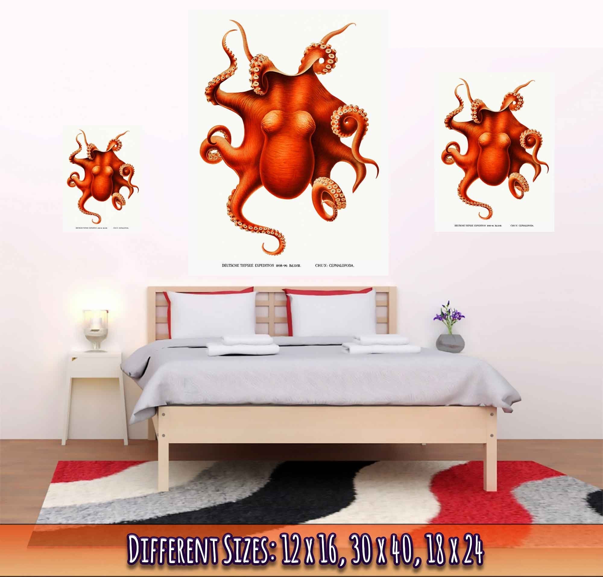 Octopus Poster, Carl Chun, Vintage Octopus Art - Vintage Octopus Print - WallArtPrints4U
