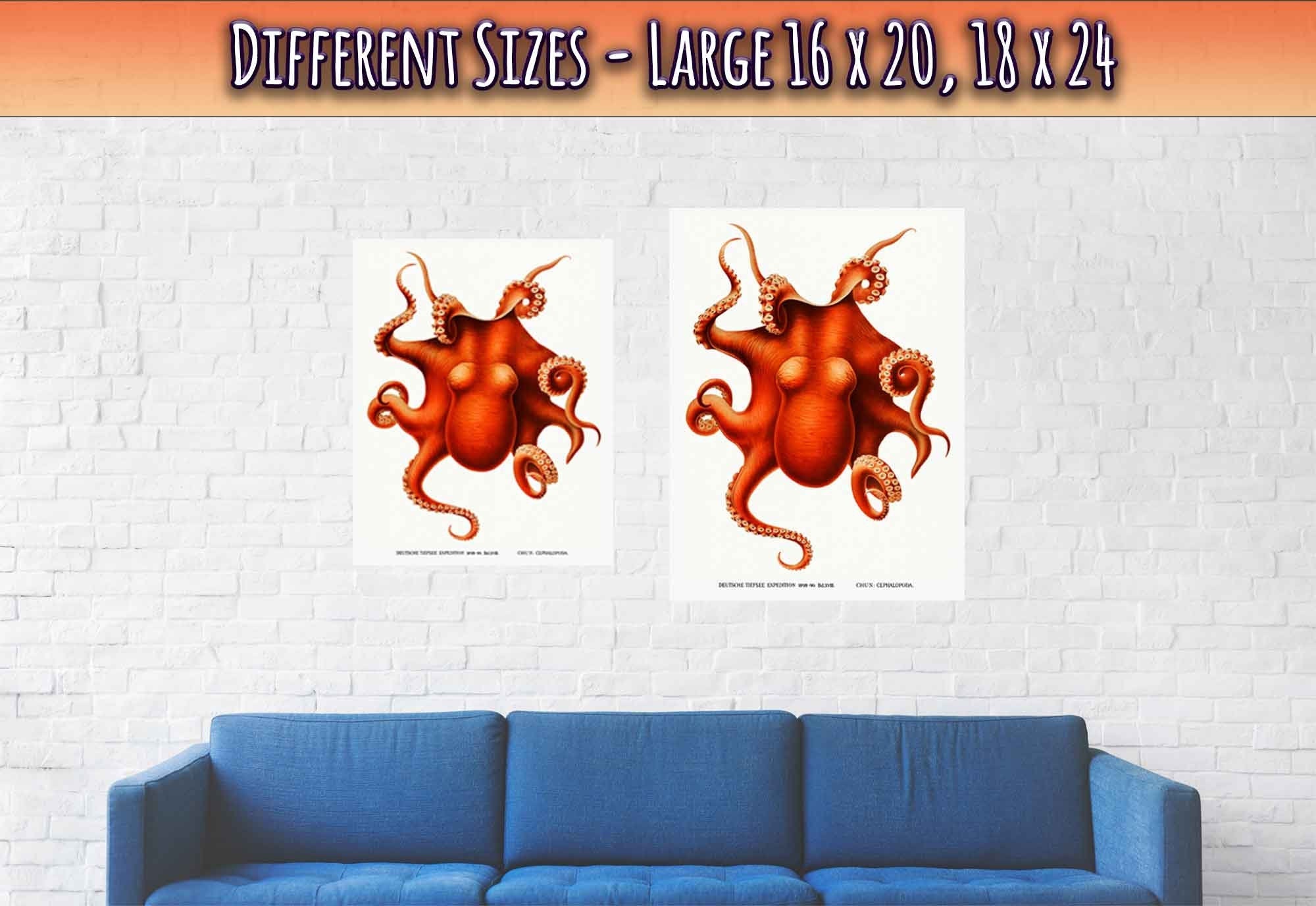 Octopus Poster, Carl Chun, Vintage Octopus Art - Vintage Octopus Print - WallArtPrints4U