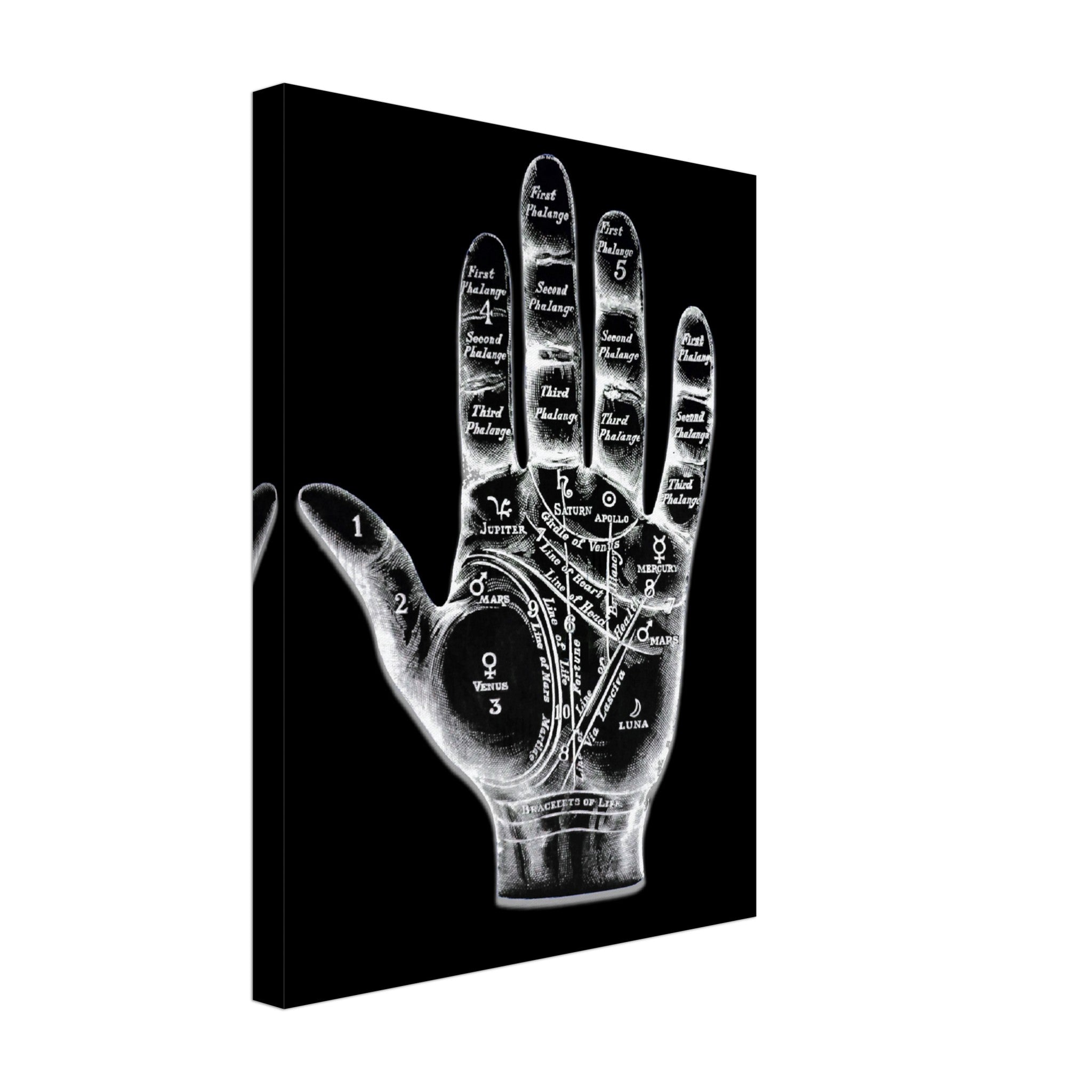 Palmistry Canvas, Palmistry Hand Canvas Print Spooky White On Black Life Line, Fate Line, Marriage Line - WallArtPrints4U