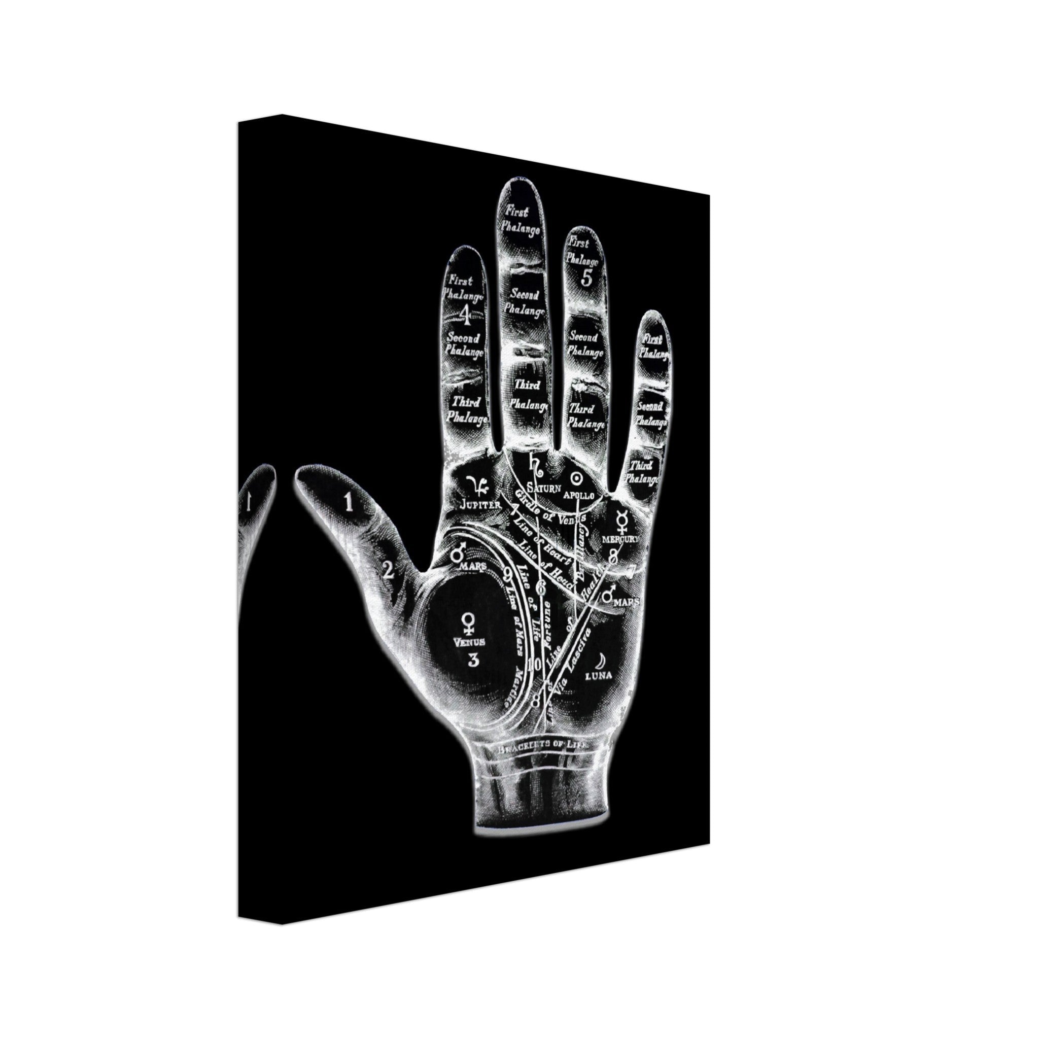 Palmistry Canvas, Palmistry Hand Canvas Print Spooky White On Black Life Line, Fate Line, Marriage Line - WallArtPrints4U