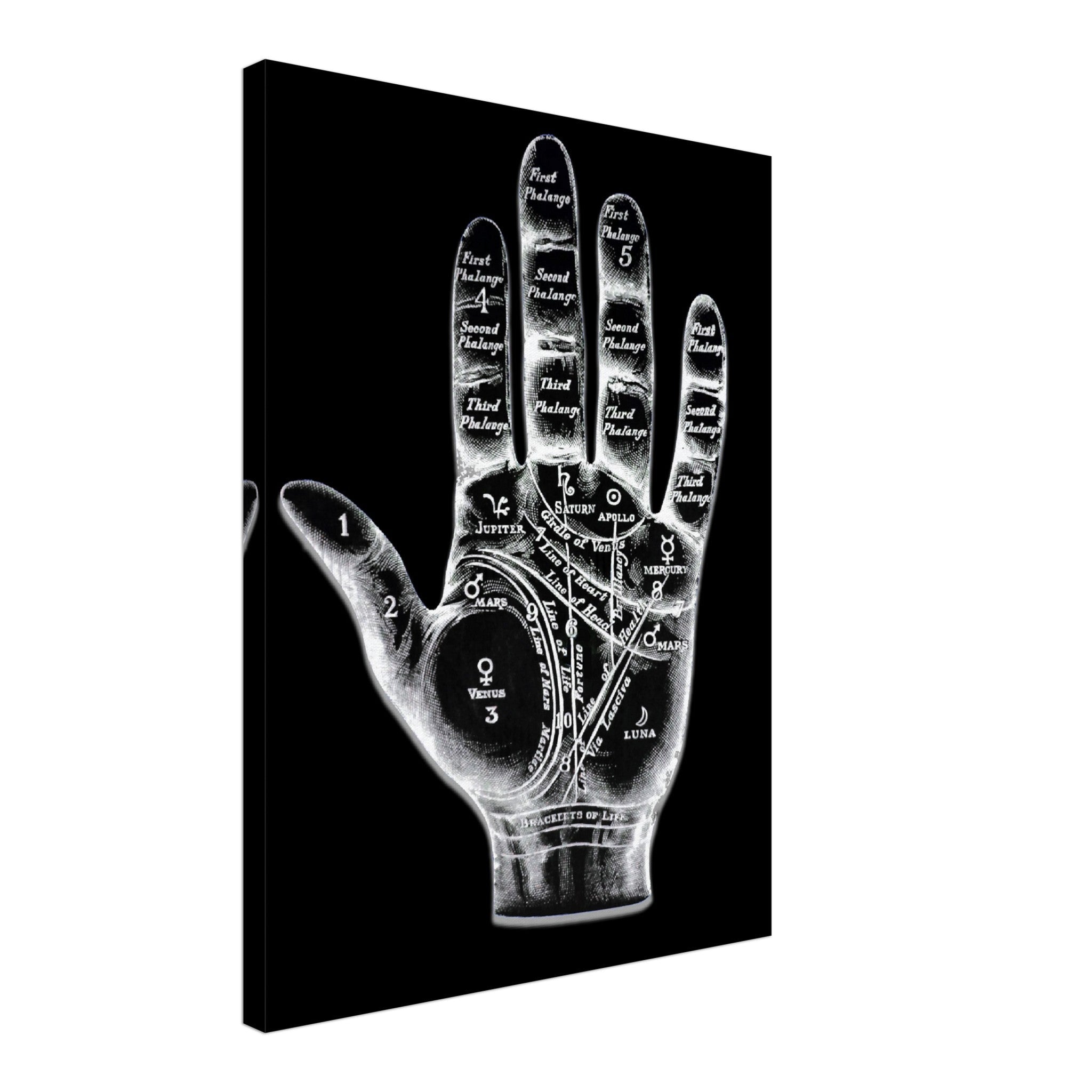 Palmistry Canvas, Palmistry Hand Canvas Print Spooky White On Black Life Line, Fate Line, Marriage Line - WallArtPrints4U