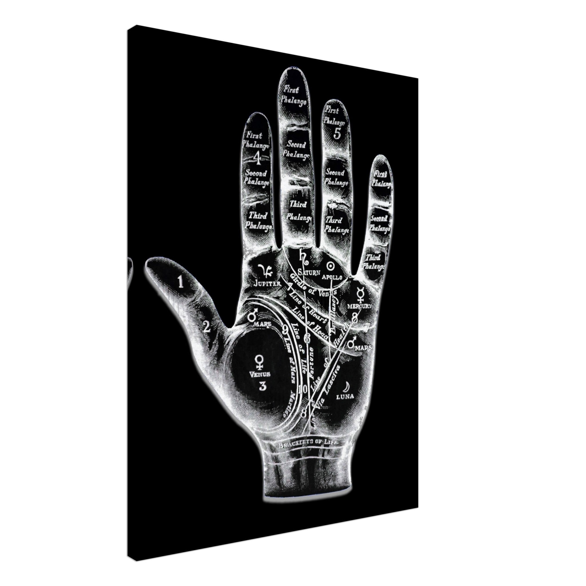 Palmistry Canvas, Palmistry Hand Canvas Print Spooky White On Black Life Line, Fate Line, Marriage Line - WallArtPrints4U