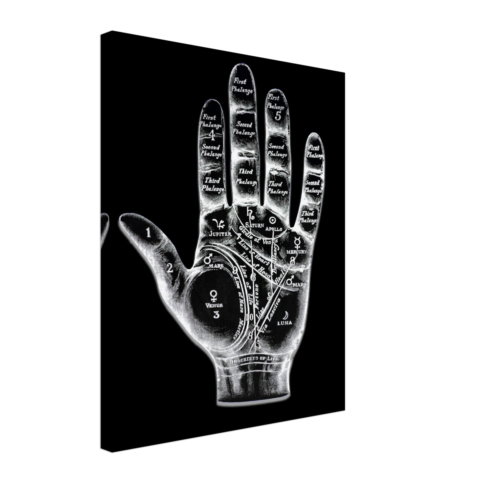 Palmistry Canvas, Palmistry Hand Canvas Print Spooky White On Black Life Line, Fate Line, Marriage Line - WallArtPrints4U