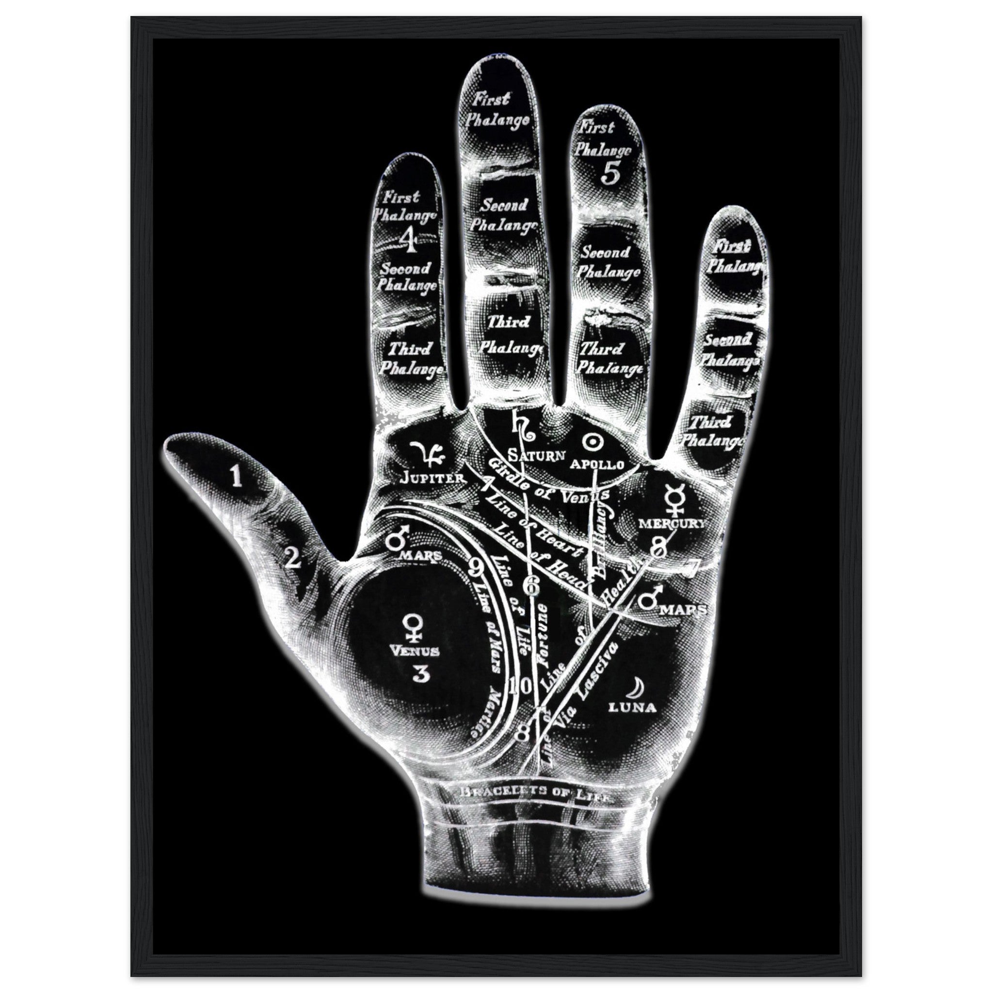 Palmistry Framed, Palmistry Hand Framed Print Spooky White On Black Life Line, Fate Line, Marriage Line - WallArtPrints4U