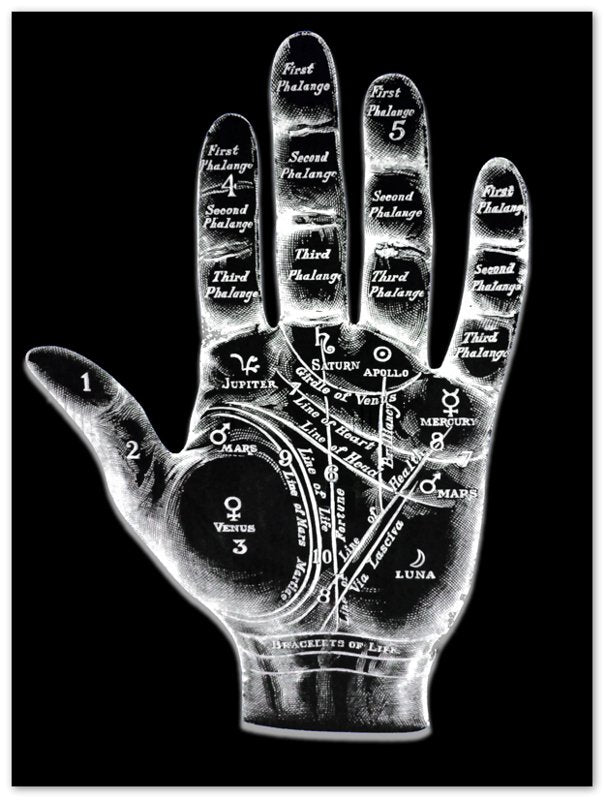 Palmistry Poster, Palmistry Hand Print Spooky White On Black Life Line, Fate Line, Marriage Line - WallArtPrints4U