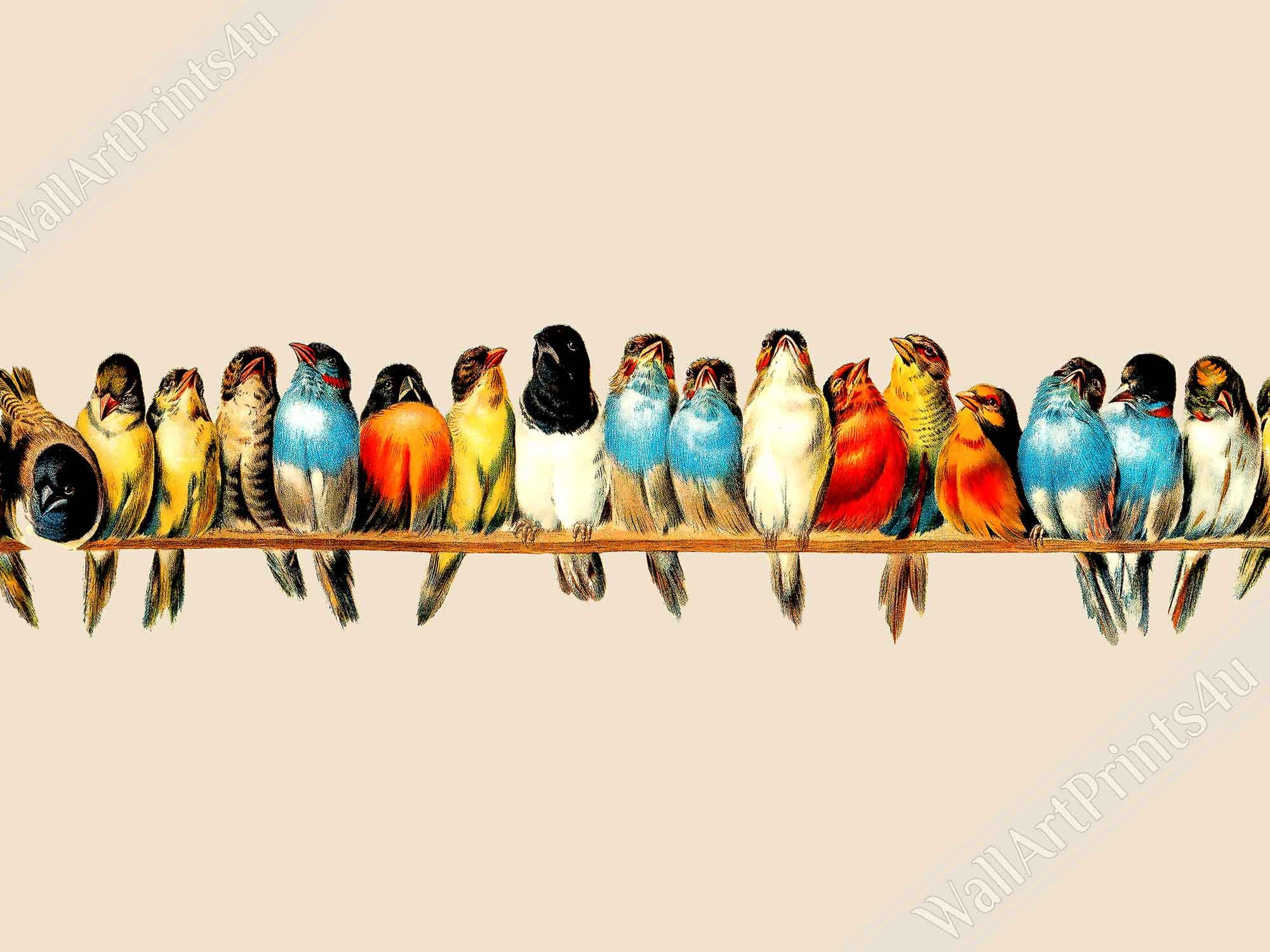 Perch Of Birds Poster, Hector Giacomelli Vintage Bird Print - Perch Of Birds Print - WallArtPrints4U