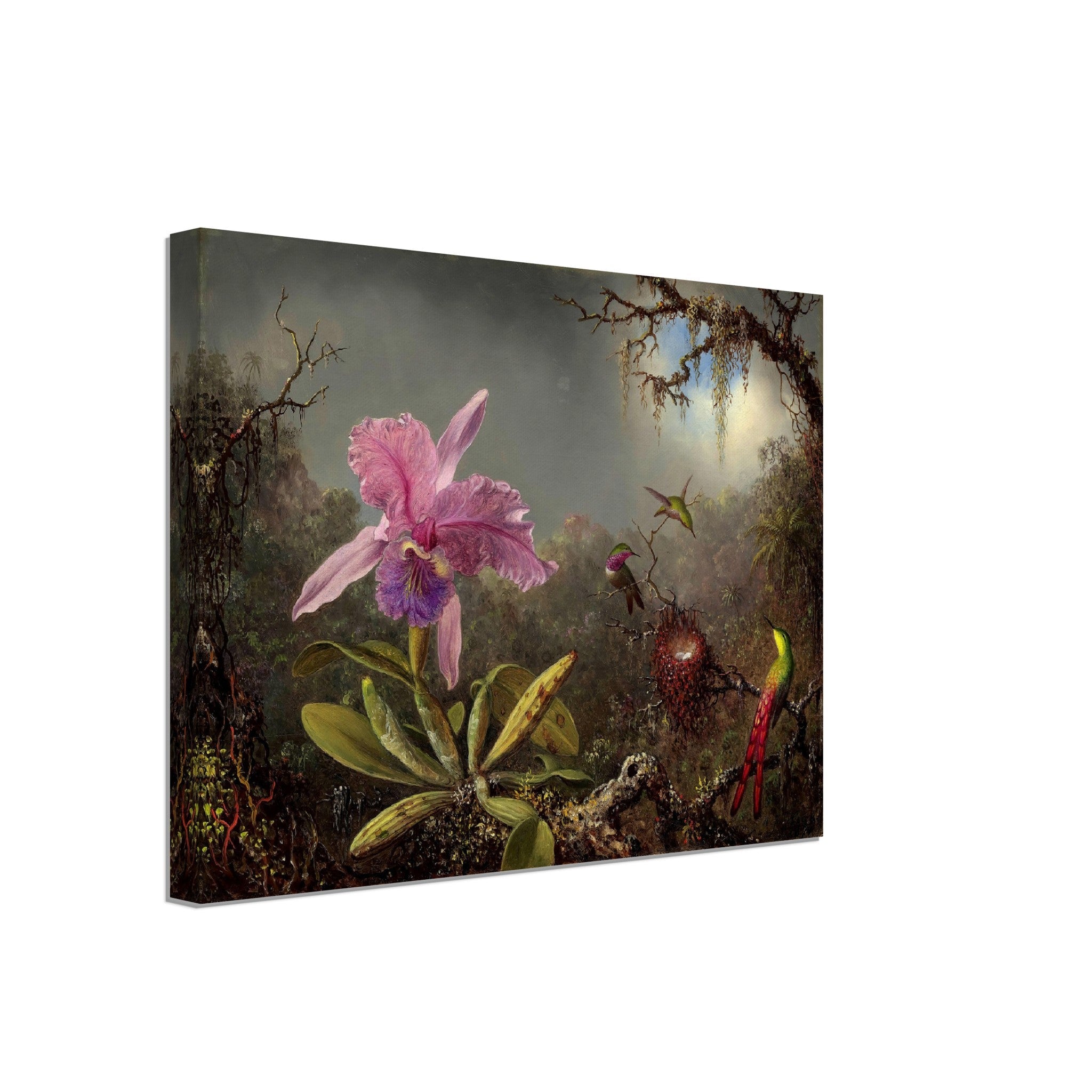 Pink Orchid Canvas - Cattleya Orchid With Three Hummimgbirds - Vintage Orchid Art Canvas Print - WallArtPrints4U