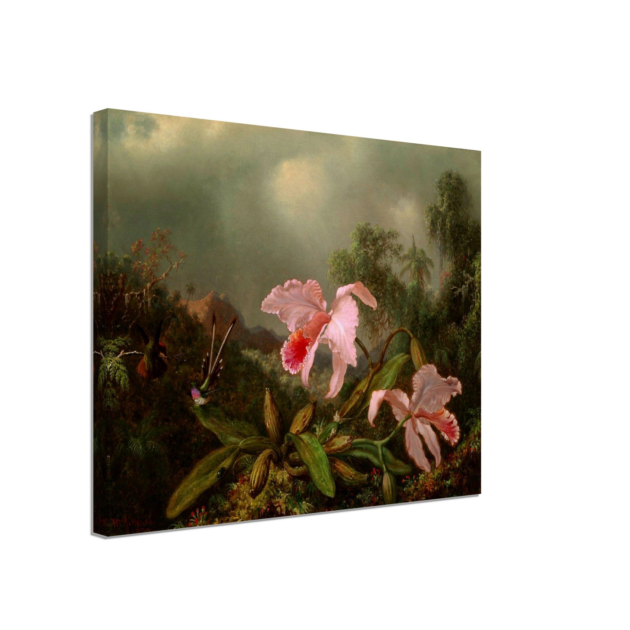 Pink Orchid Canvas - Jungle Orchid With Hummimgbirds - Vintage Orchid Art Canvas Print - WallArtPrints4U