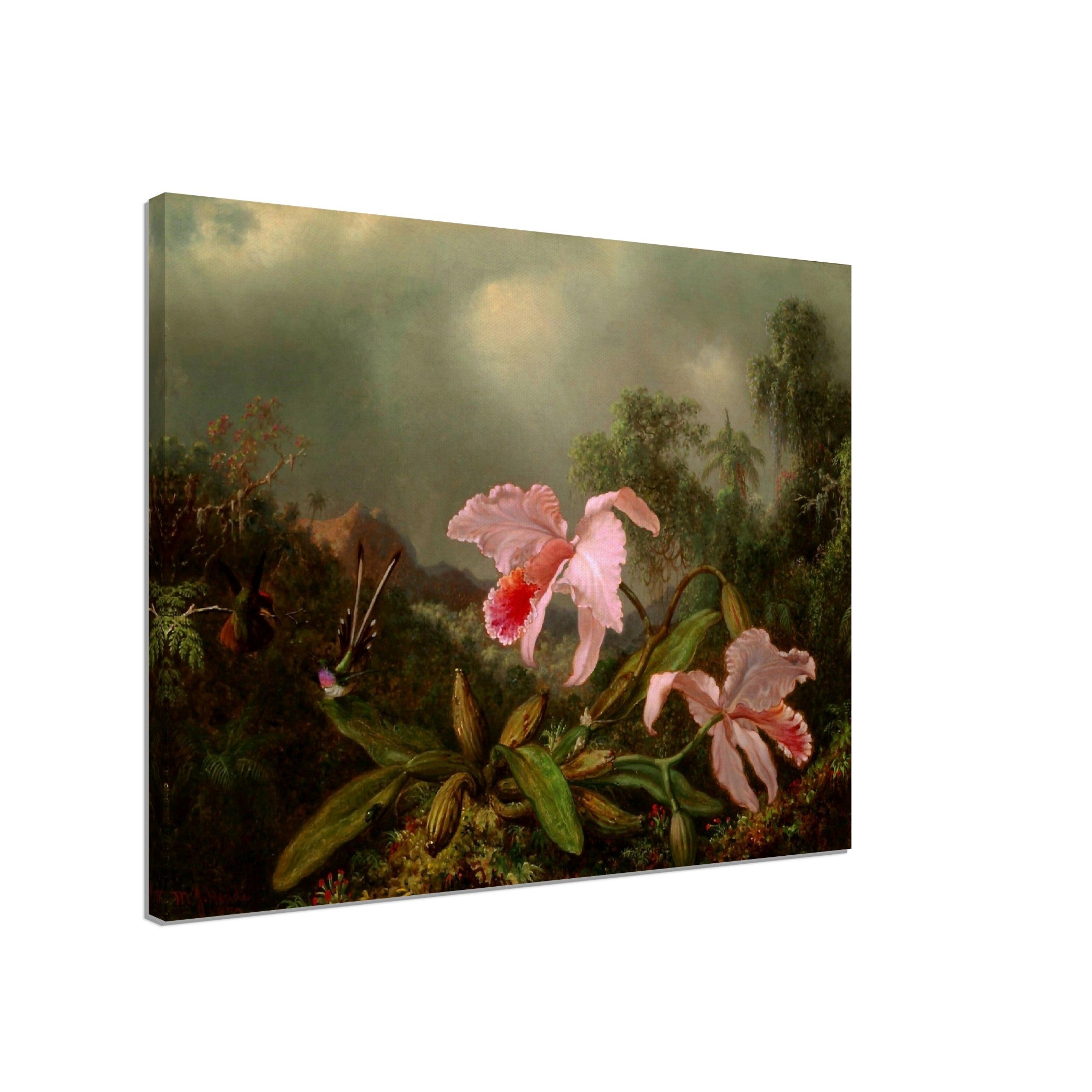 Pink Orchid Canvas - Jungle Orchid With Hummimgbirds - Vintage Orchid Art Canvas Print - WallArtPrints4U