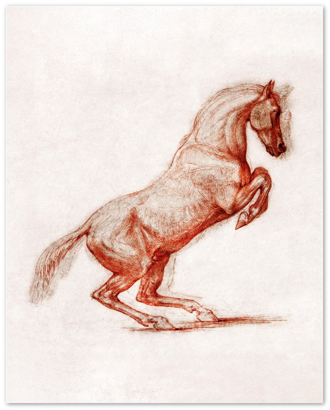 Prancing Horse Poster, Vintage Prancing Horse Art - Vintage Prancing Pony Print - WallArtPrints4U
