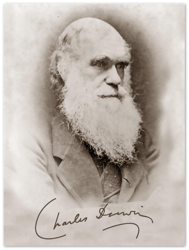 Charles Darwin Poster, Evolution Theory Vintage Photo With Signature Charles Darwin Print UK, EU USA Domestic Shipping