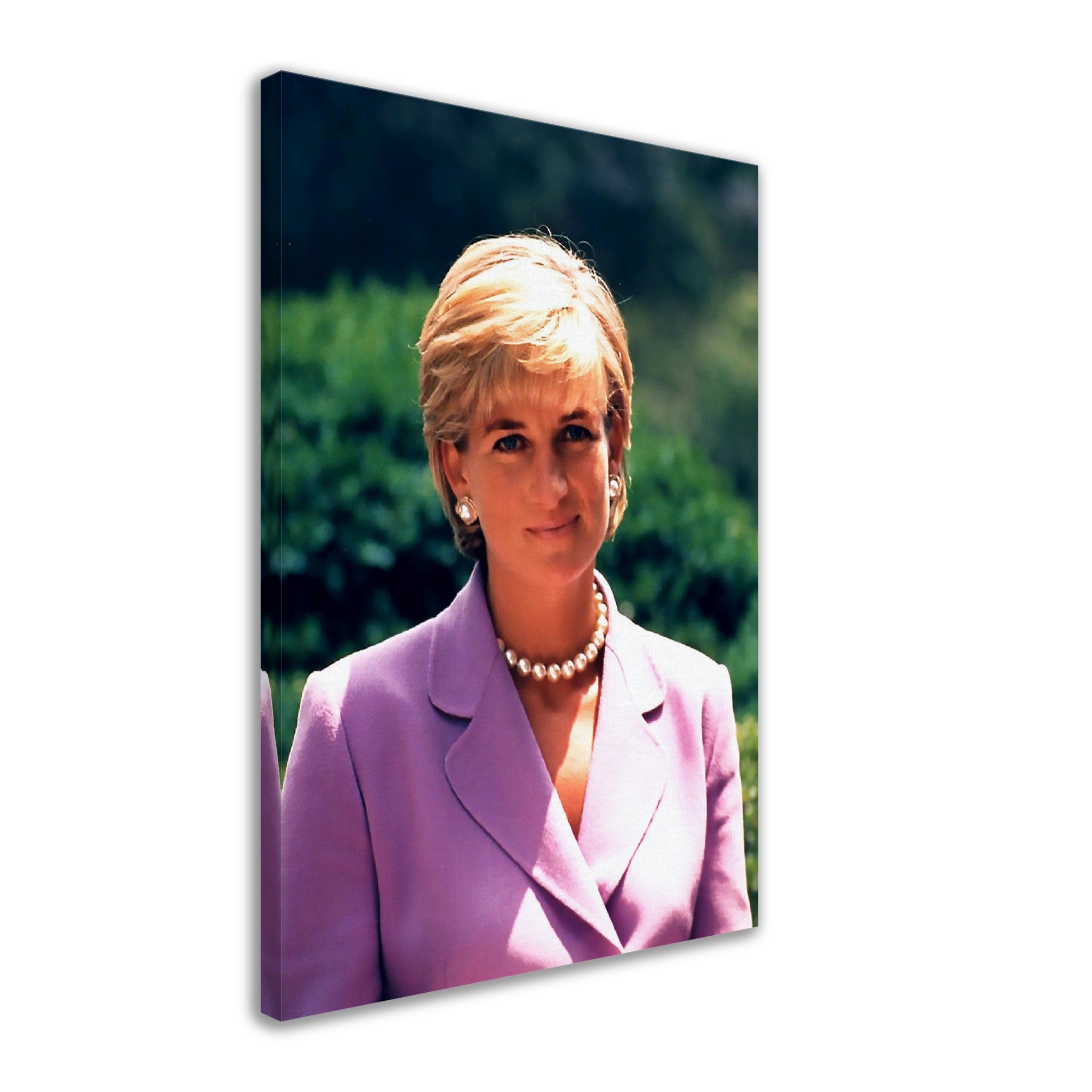 Princess Diana Canvas, Diana In Washington Dc, Vintage Photo Portrait - Princess Diana Canvas Print - WallArtPrints4U