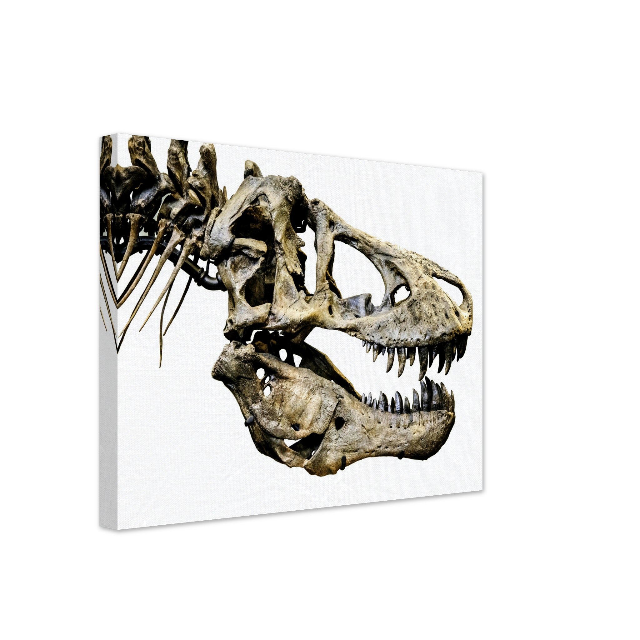 T Rex Skull Canvas, Vintage Tyrannosaurus Skull Art - T Rex Skeleton Skull Canvas Print Rexy - WallArtPrints4U