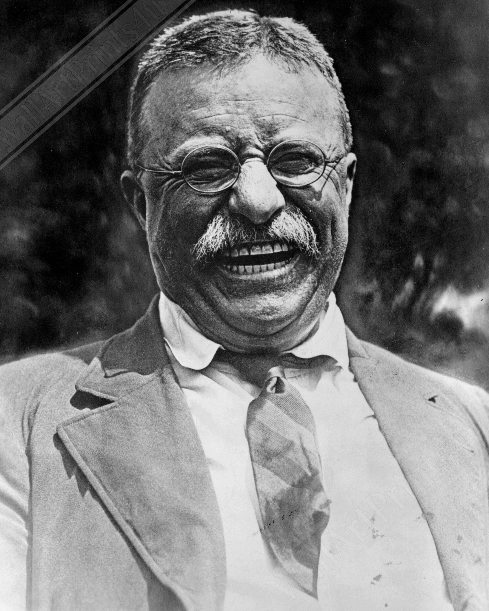 Teddy Roosevelt Canvas, Father Of The Teddy Bear, Vintage Photo Theodore Roosevelt Canvas Print Great White Chief - WallArtPrints4U