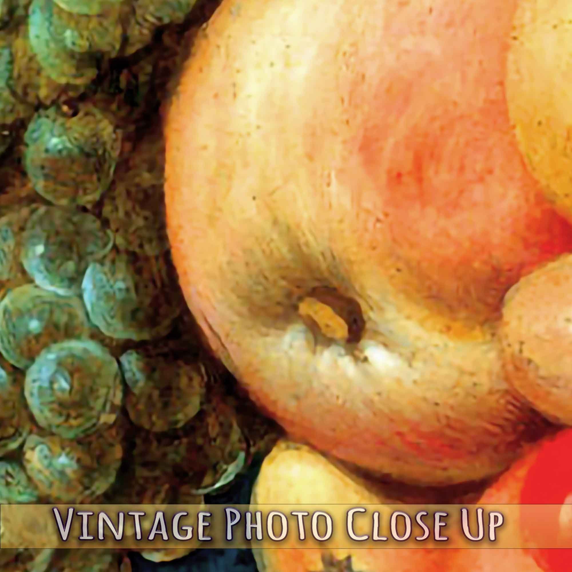 The Fruit Basket Poster - Giuseppe Arcimboldo Poster Print - WallArtPrints4U