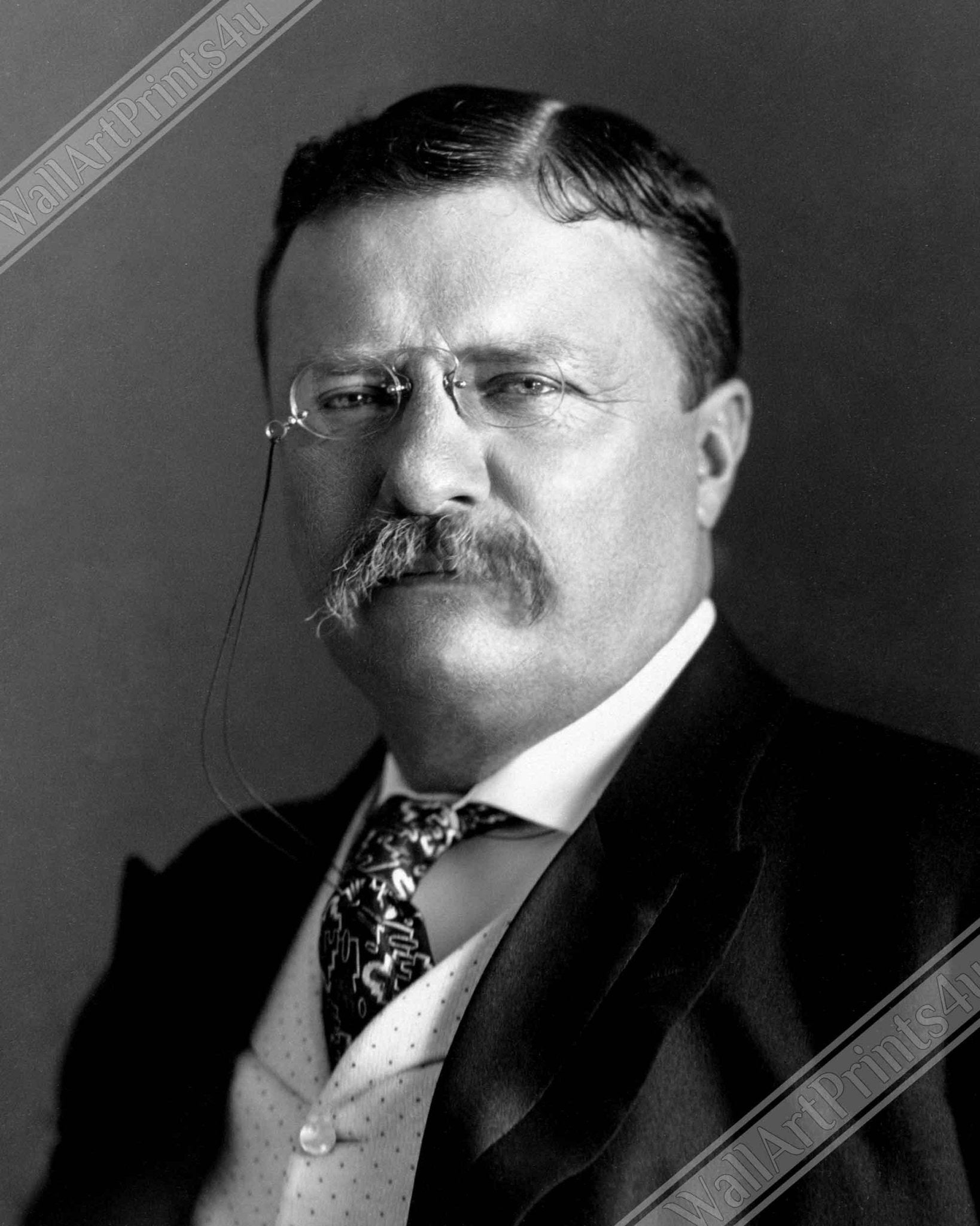 Theodore Roosevelt Canvas, 26th President Of Usa, Vintage Photo Portrait - Theodore Roosevelt Canvas Print - WallArtPrints4U