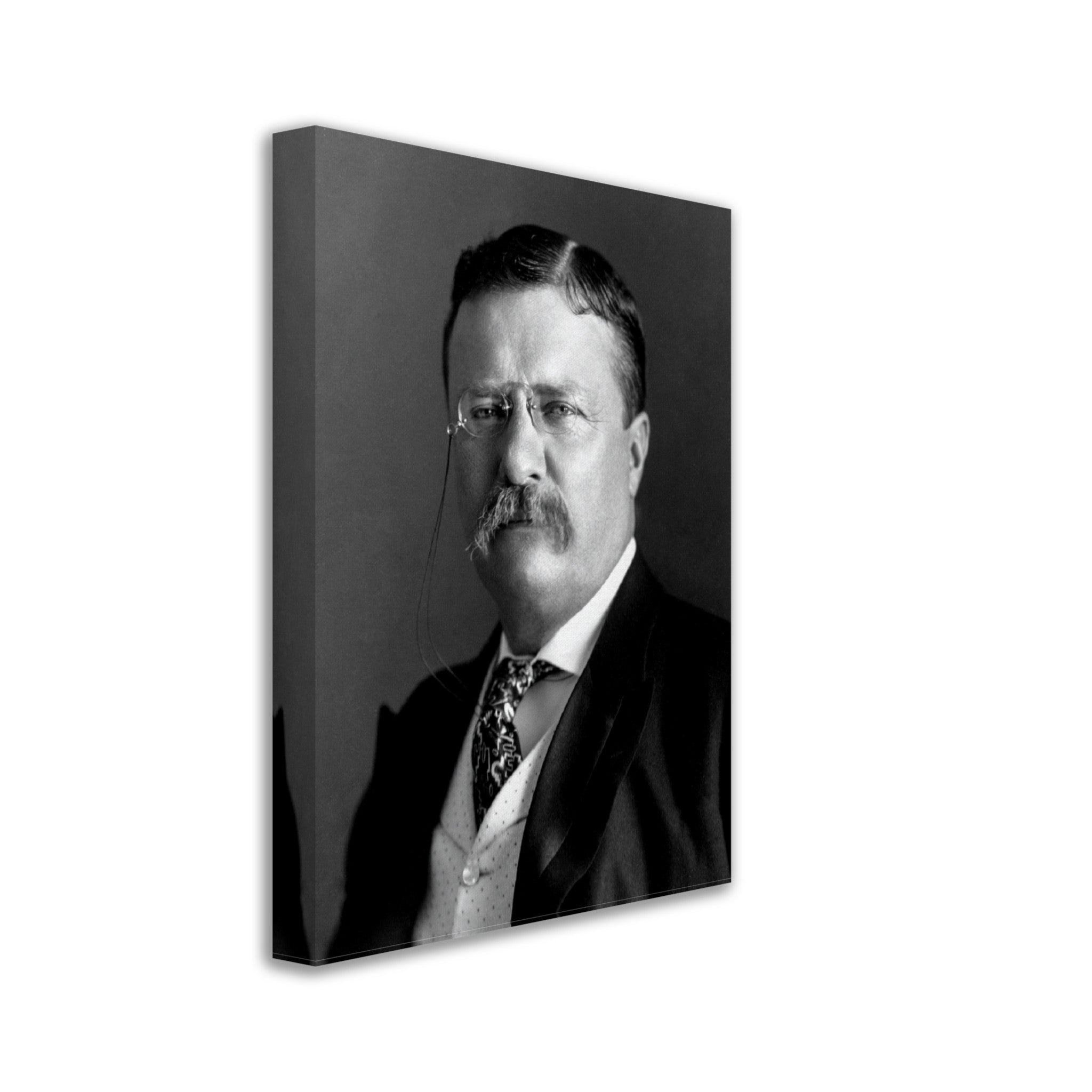 Theodore Roosevelt Canvas, 26th President Of Usa, Vintage Photo Portrait - Theodore Roosevelt Canvas Print - WallArtPrints4U