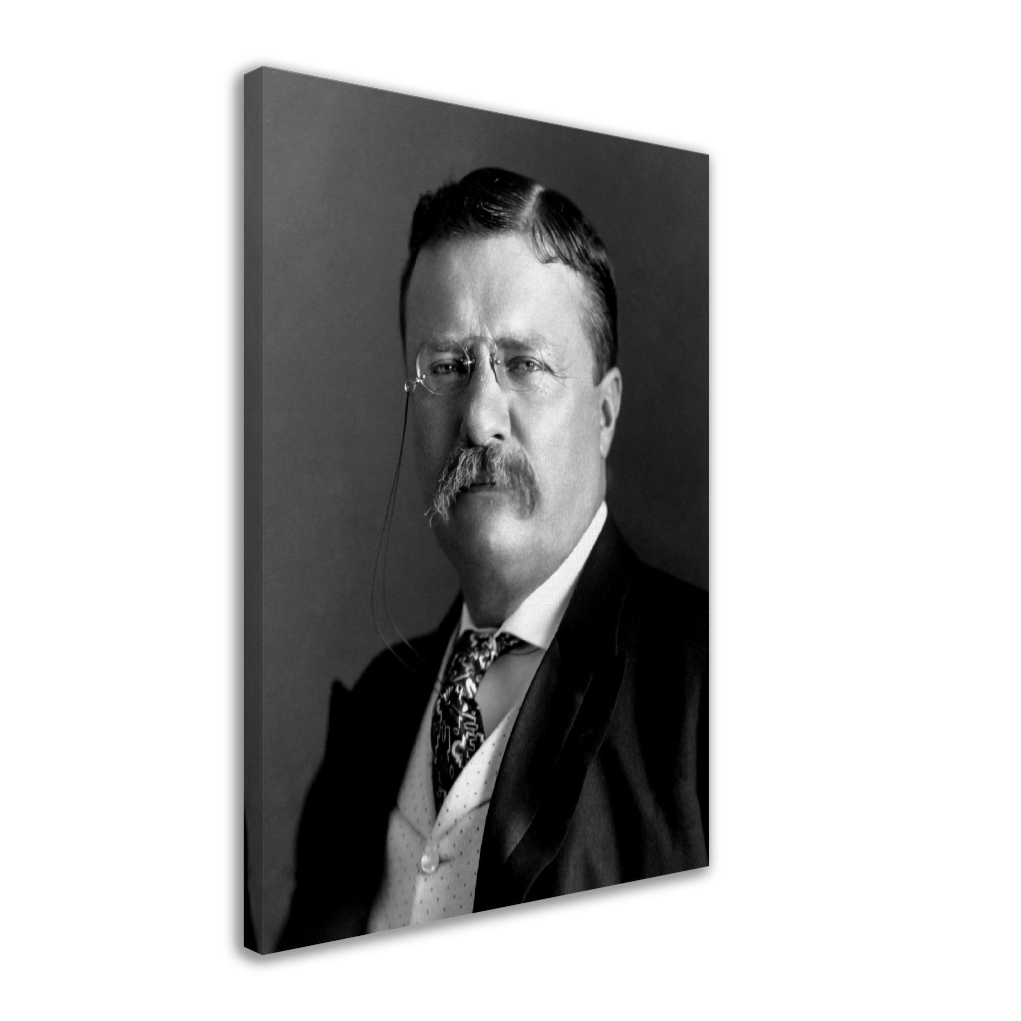 Theodore Roosevelt Canvas, 26th President Of Usa, Vintage Photo Portrait - Theodore Roosevelt Canvas Print - WallArtPrints4U