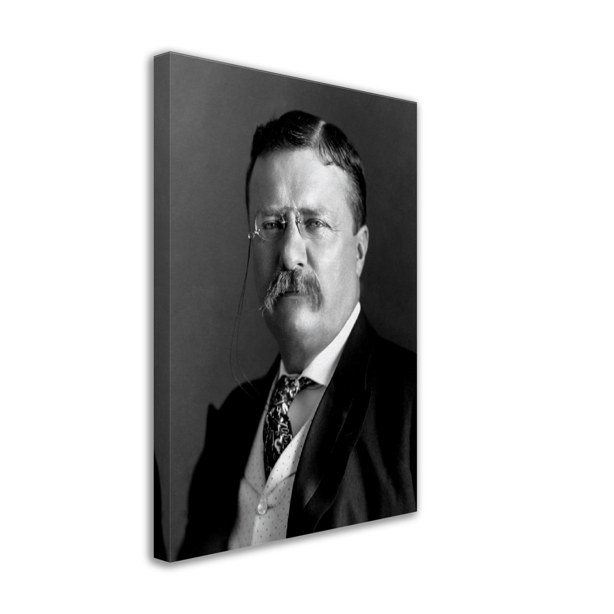 Theodore Roosevelt Canvas, 26th President Of Usa, Vintage Photo Portrait - Theodore Roosevelt Canvas Print - WallArtPrints4U