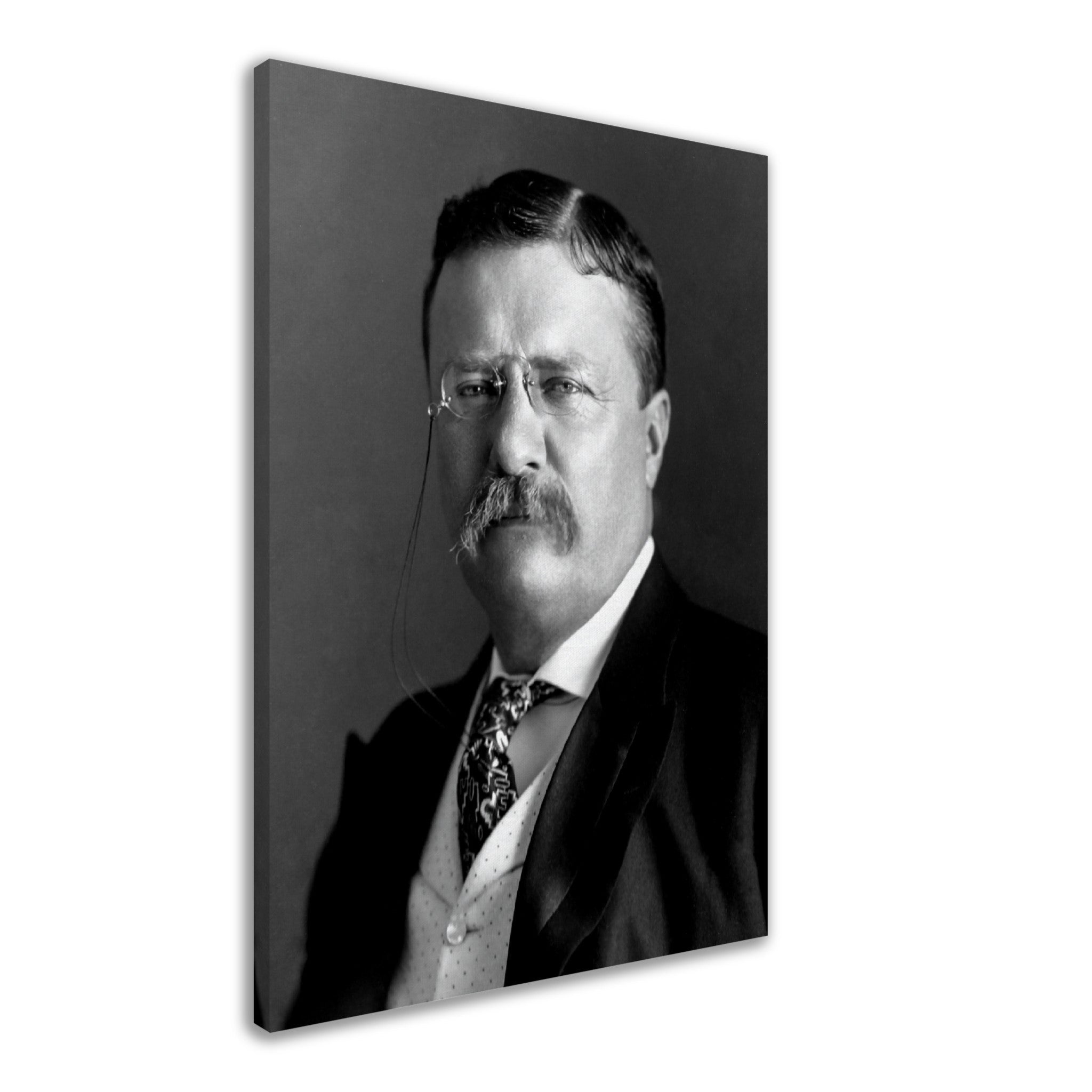 Theodore Roosevelt Canvas, 26th President Of Usa, Vintage Photo Portrait - Theodore Roosevelt Canvas Print - WallArtPrints4U