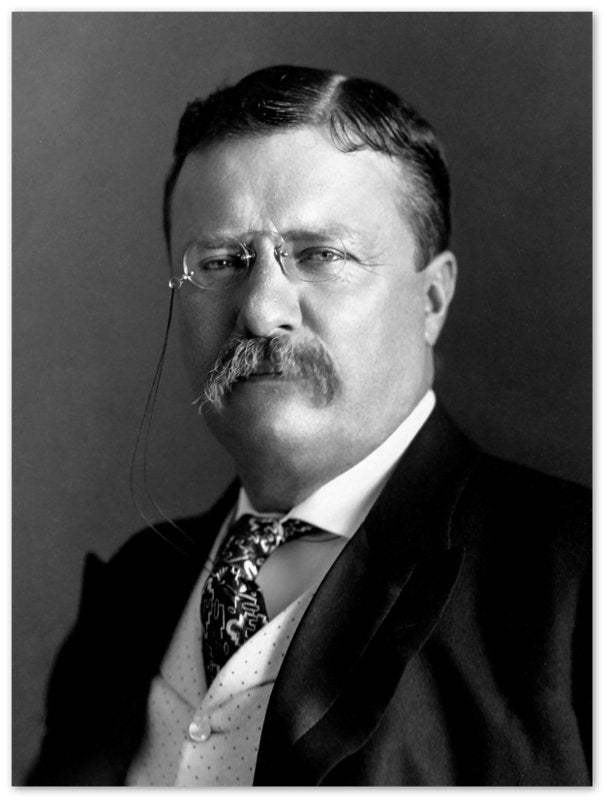 Theodore Roosevelt Poster, 26th President Of Usa, Vintage Photo Portrait - Theodore Roosevelt Print - WallArtPrints4U