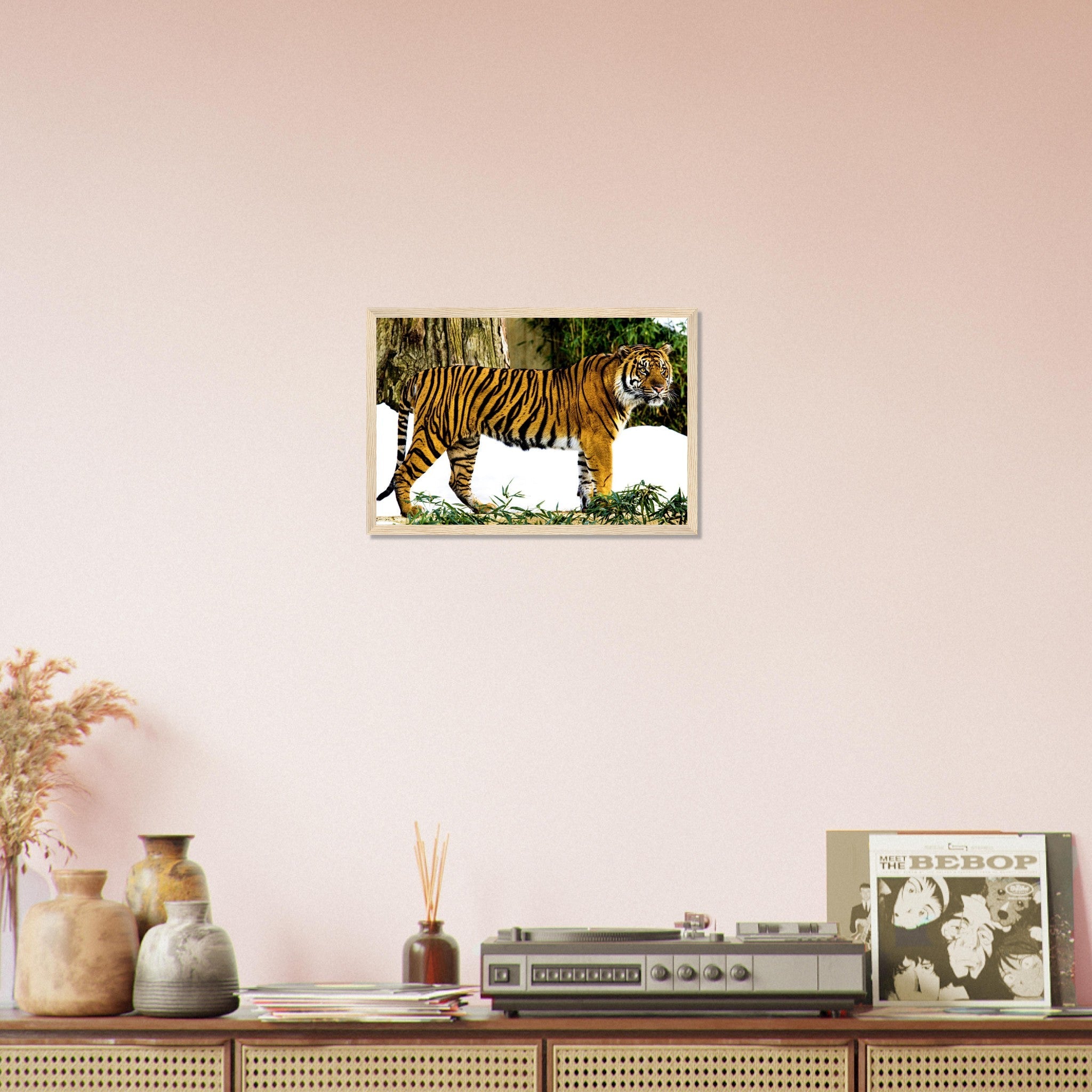 Tiger Framed Print , Sumatran Tiger Smithsonian National Zoo 2009 - WallArtPrints4U