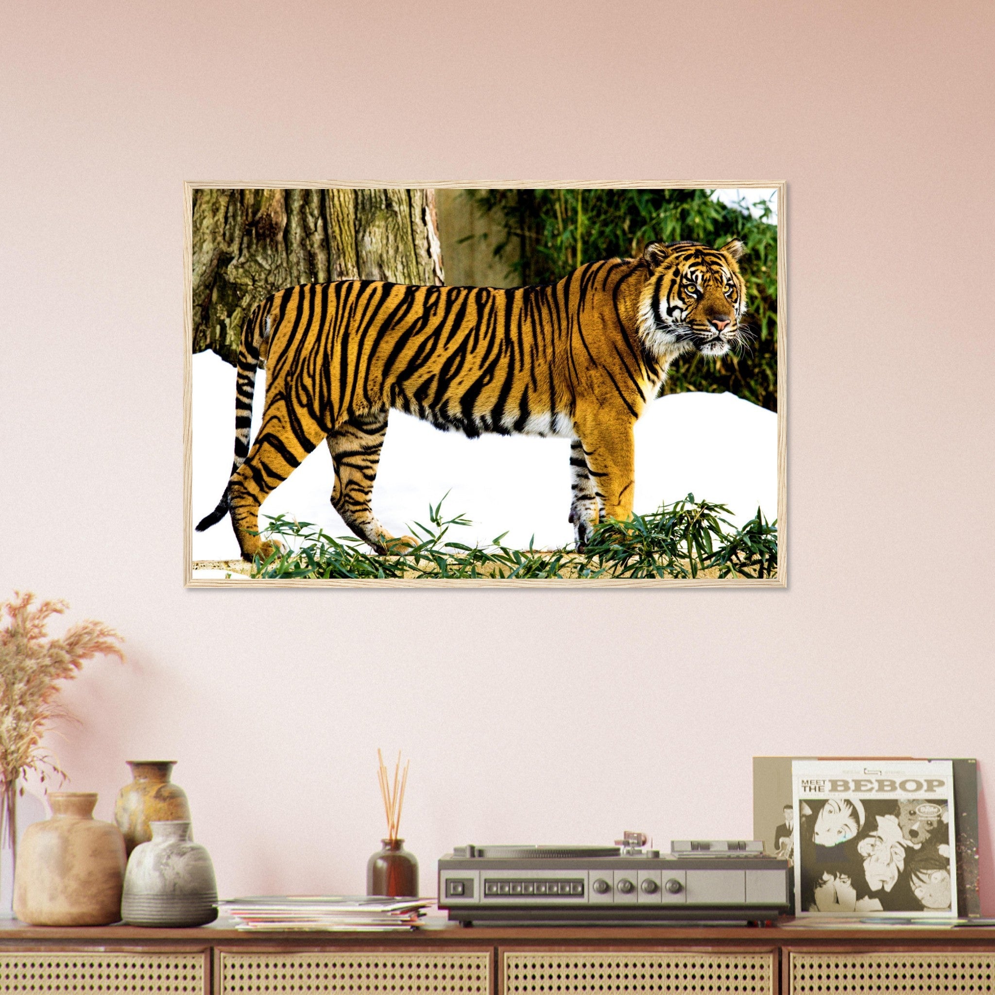Tiger Framed Print , Sumatran Tiger Smithsonian National Zoo 2009 - WallArtPrints4U