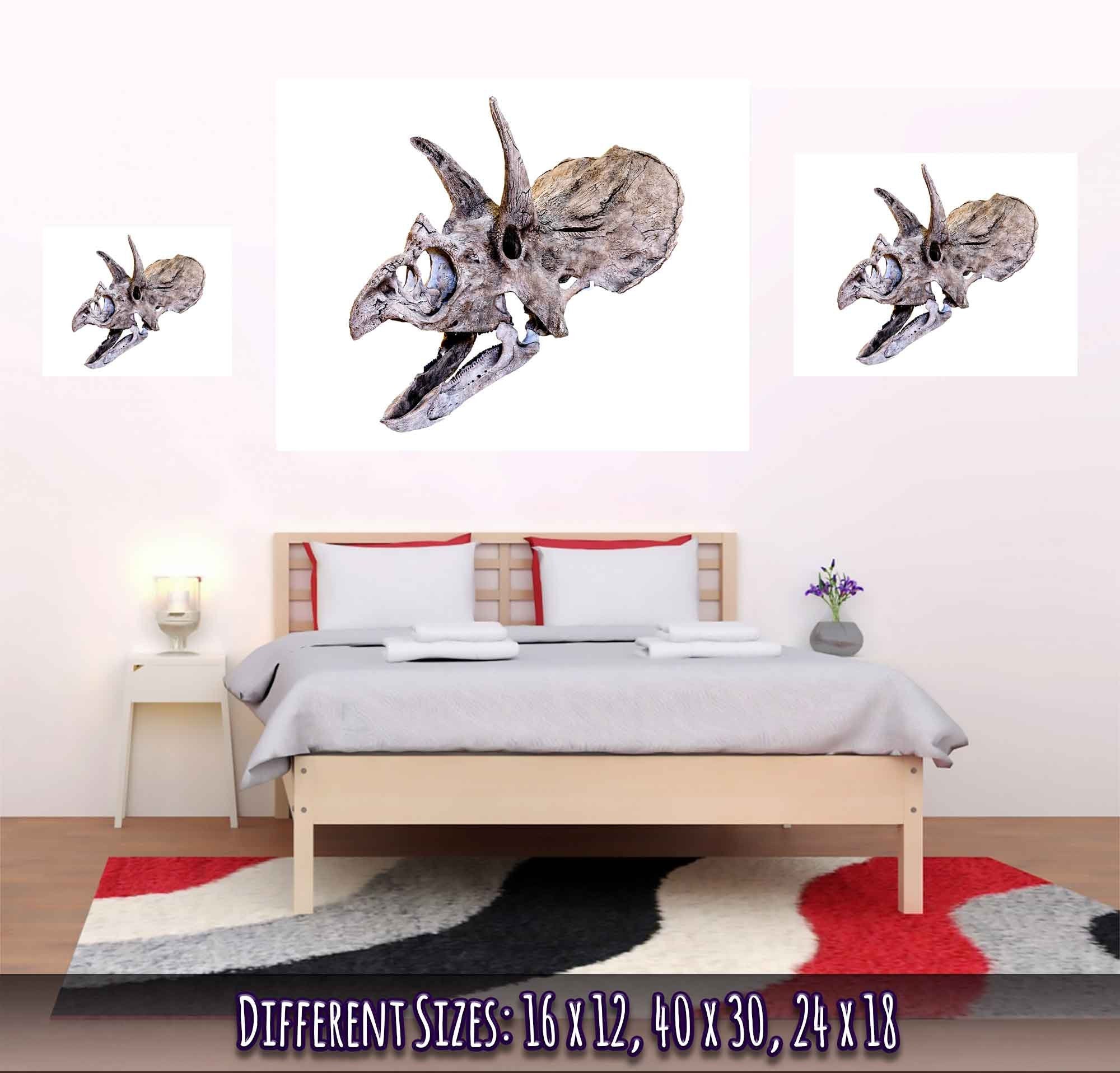 Triceratops Skull Poster, Vintage Triceratops Horridus Skull Art - Triceratops Skeleton Skull Print - WallArtPrints4U