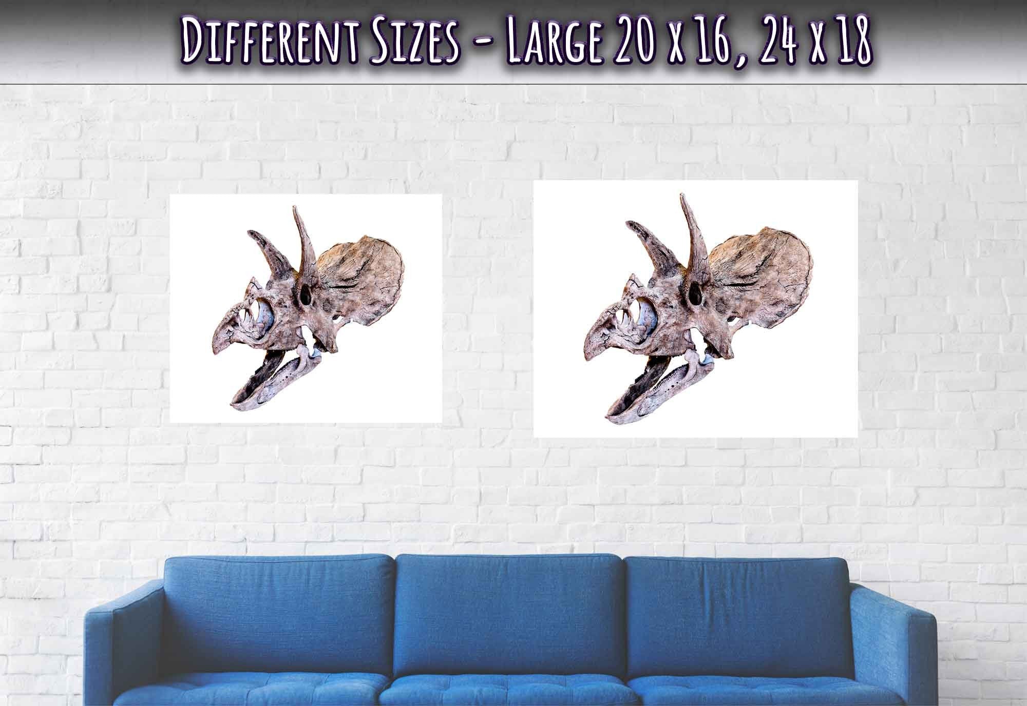 Triceratops Skull Poster, Vintage Triceratops Horridus Skull Art - Triceratops Skeleton Skull Print - WallArtPrints4U