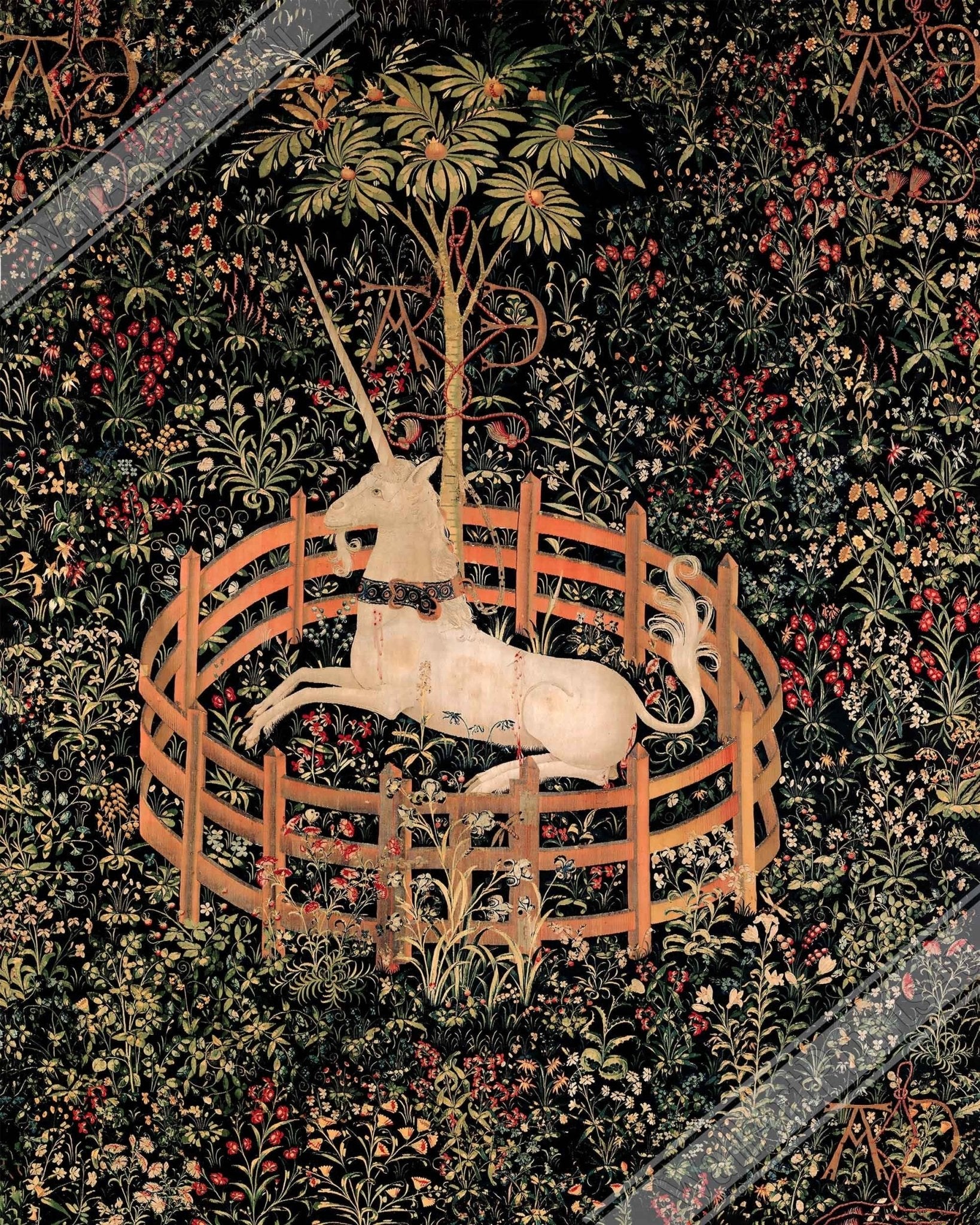 Unicorn Canvas, Vintage Unicorn In Captivity, Unicorn Tapestries 1495 - 1505 - Vintage Unicorn Canvas Print - WallArtPrints4U