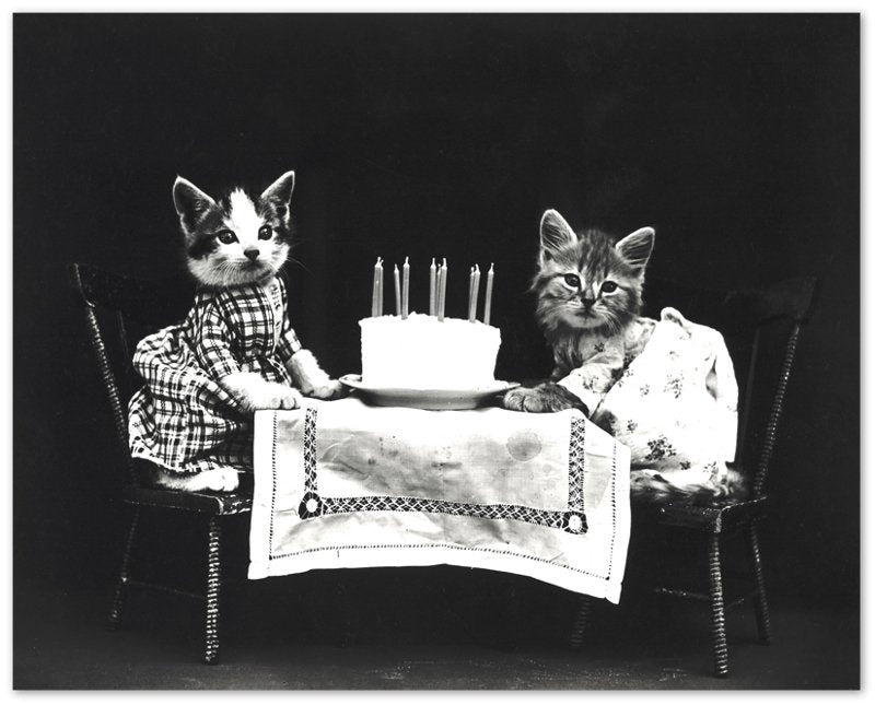 Vintage Birthday Kitten Poster Print - Cute Kitten Print - Vintage Cat Kitten Poster - WallArtPrints4U