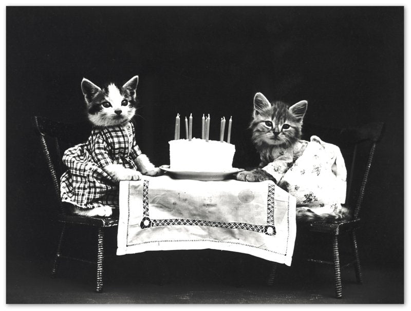 Vintage Birthday Kitten Poster Print - Cute Kitten Print - Vintage Cat Kitten Poster - WallArtPrints4U