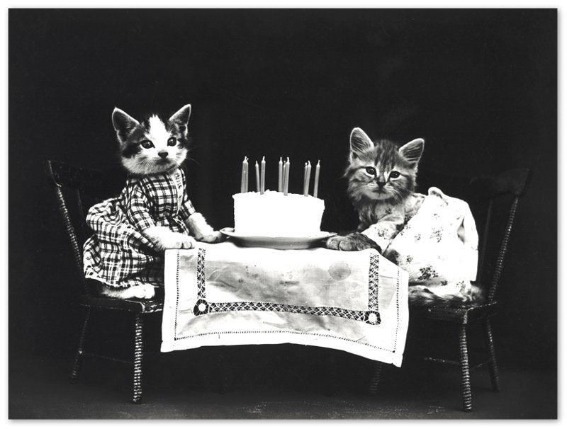 Vintage Birthday Kitten Poster Print - Cute Kitten Print - Vintage Cat Kitten Poster - WallArtPrints4U