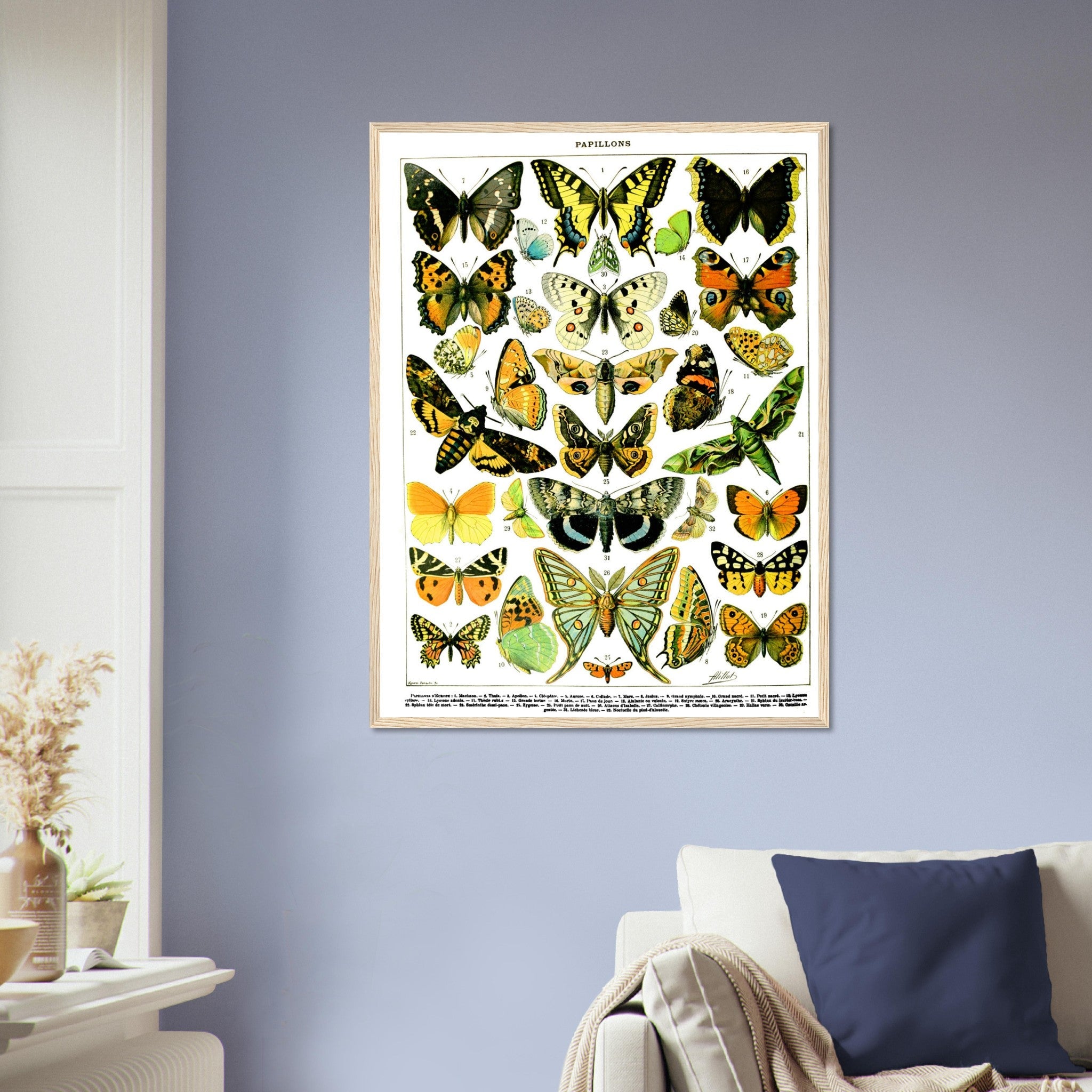 Vintage Butterfly Framed, Adolphe Millot - Papillons (Butterfly) Framed Print UK, EU USA Domestic Shipping - WallArtPrints4U