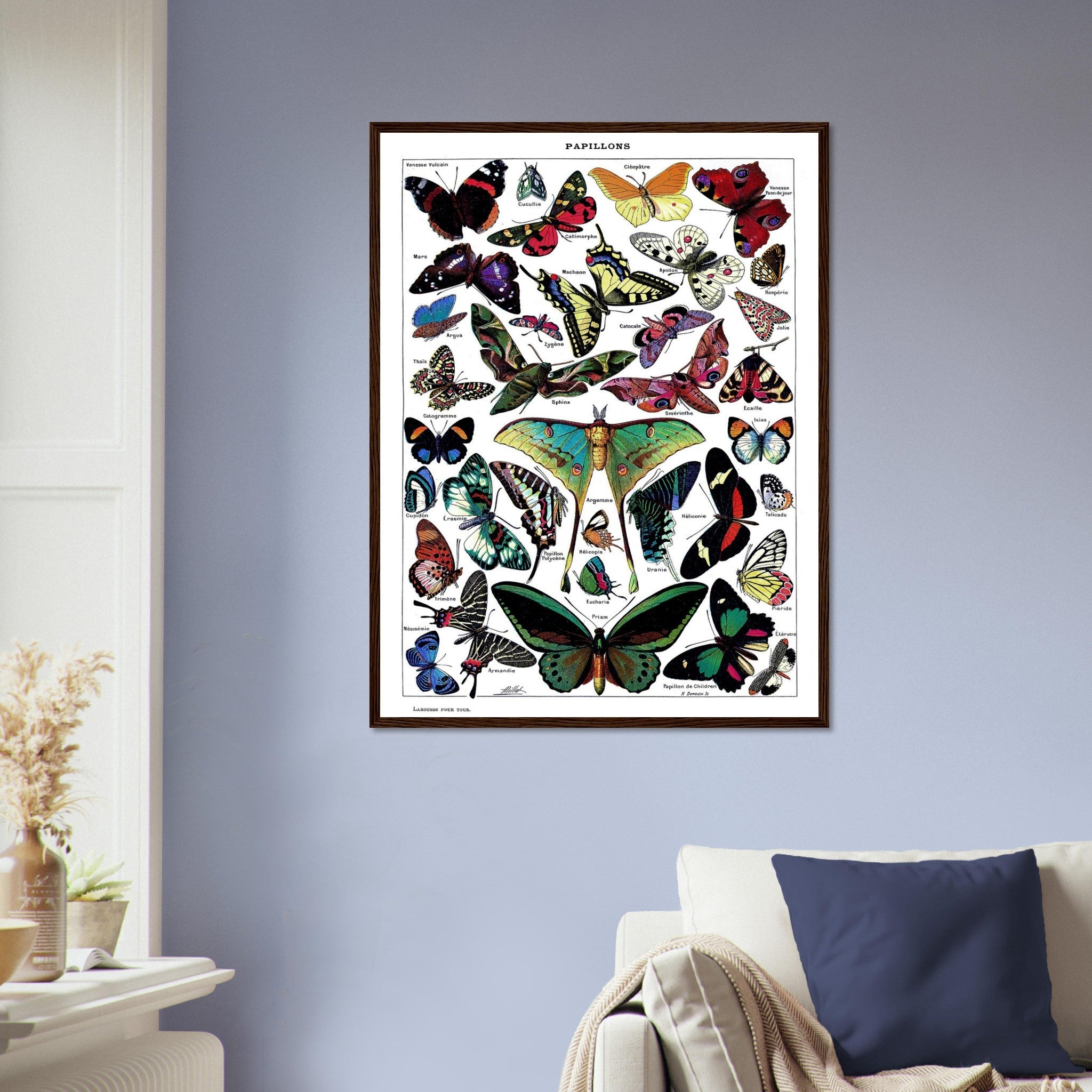 Vintage Butterfly Framed - Adolphe Millot - Papillons (Butterfly) Framed Print UK, EU USA Domestic Shipping - WallArtPrints4U