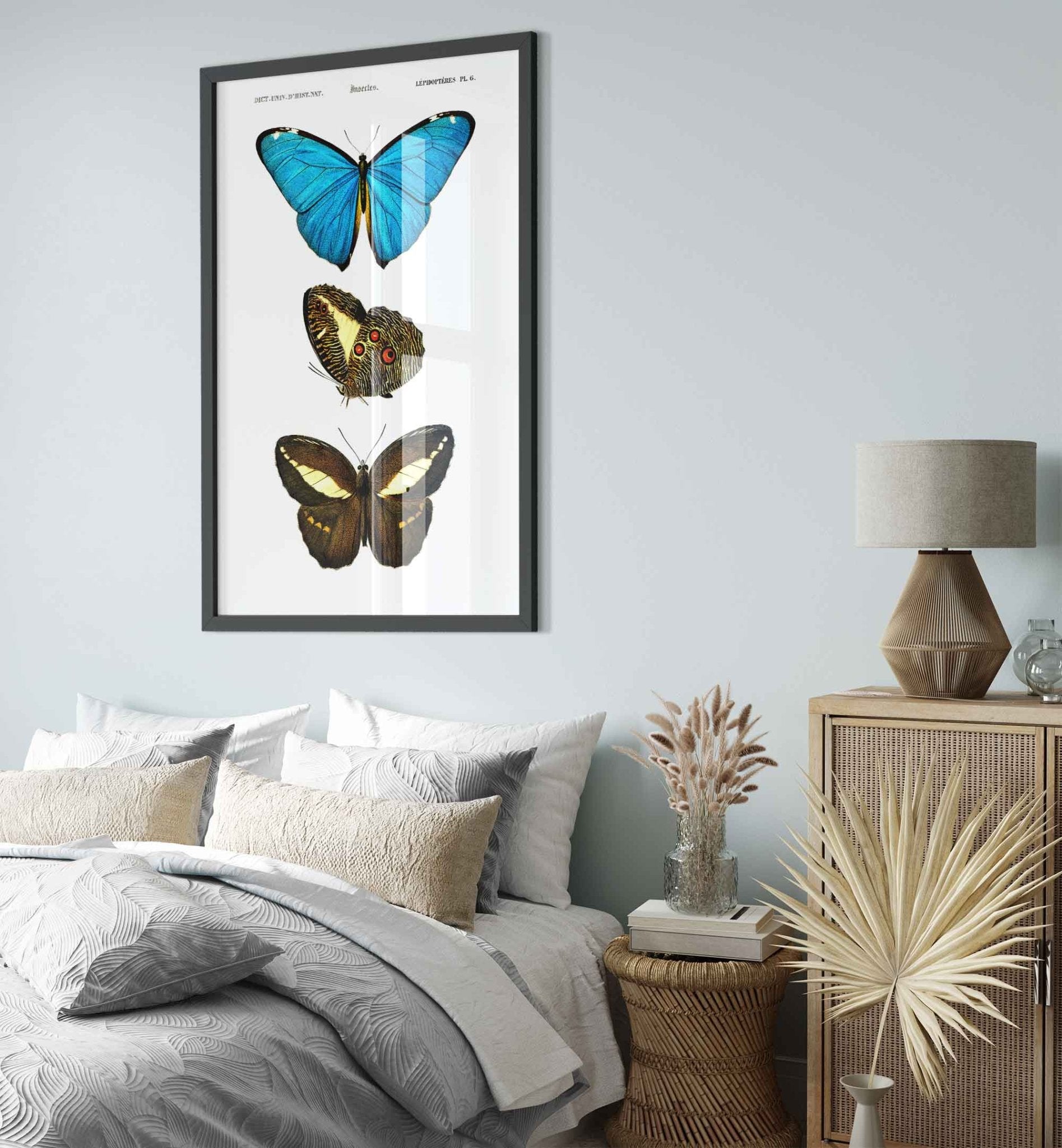 Vintage Butterfly Framed, Set Of 3 Butterflies, Charles Dessalines, Vintage Wall Art Butterflies Framed Print - WallArtPrints4U