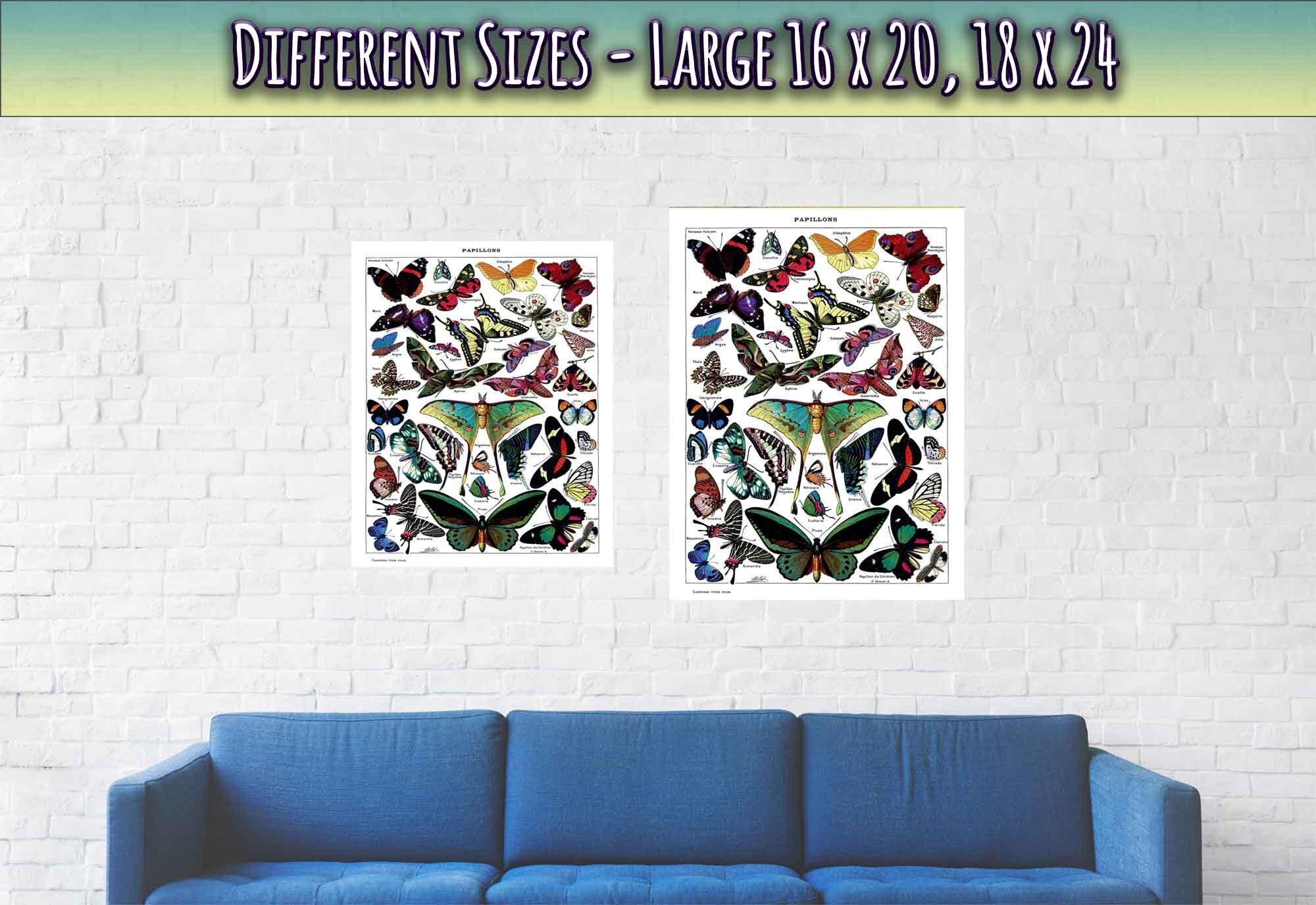 Vintage Butterfly Poster - Adolphe Millot - Papillons (Butterfly) Print - WallArtPrints4U