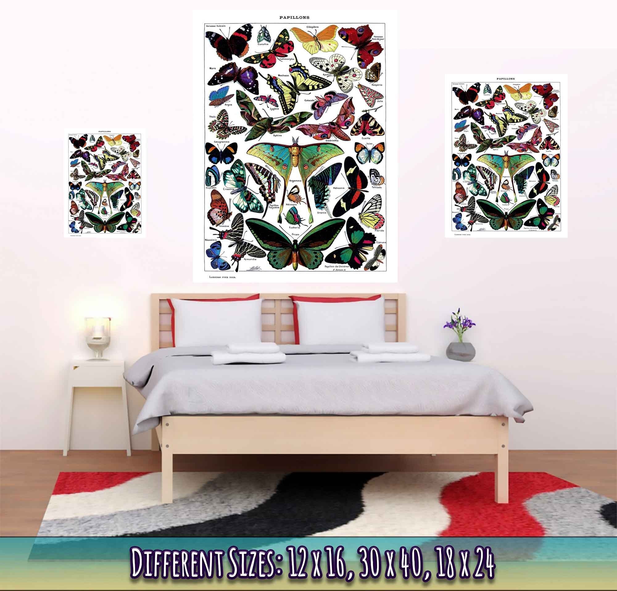 Vintage Butterfly Poster - Adolphe Millot - Papillons (Butterfly) Print - WallArtPrints4U