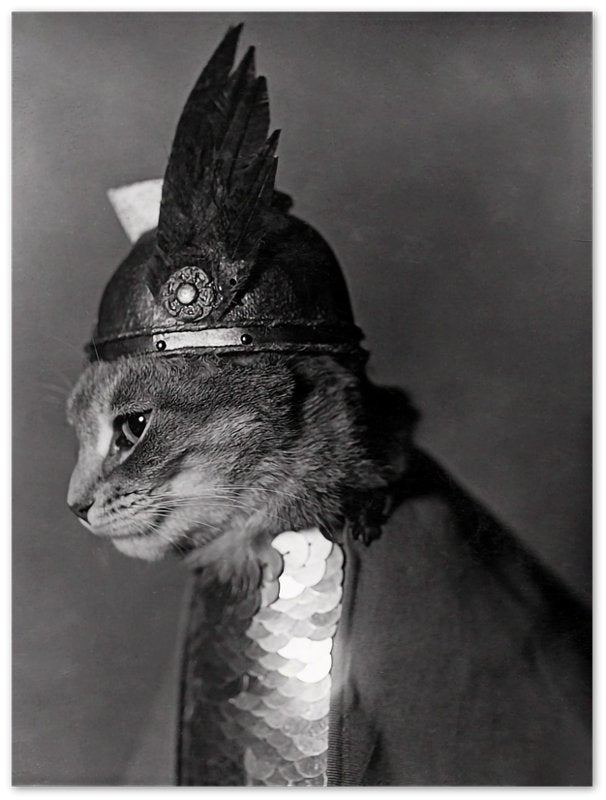 Vintage Cat Poster Cat In Viking Helmet 1936 - Vintage Cat As Brunhilde Print - WallArtPrints4U